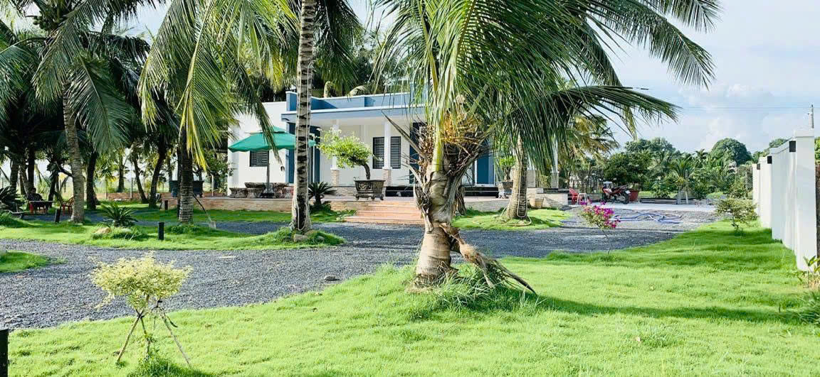 NHÀ VƯỜN 6.000M² – “THIÊN ĐƯỜNG XANH” GIỮA LÒNG CỦ CHI - CHỈ 2.5TR/M² – GIÁ QUÁ HỜI 15985960