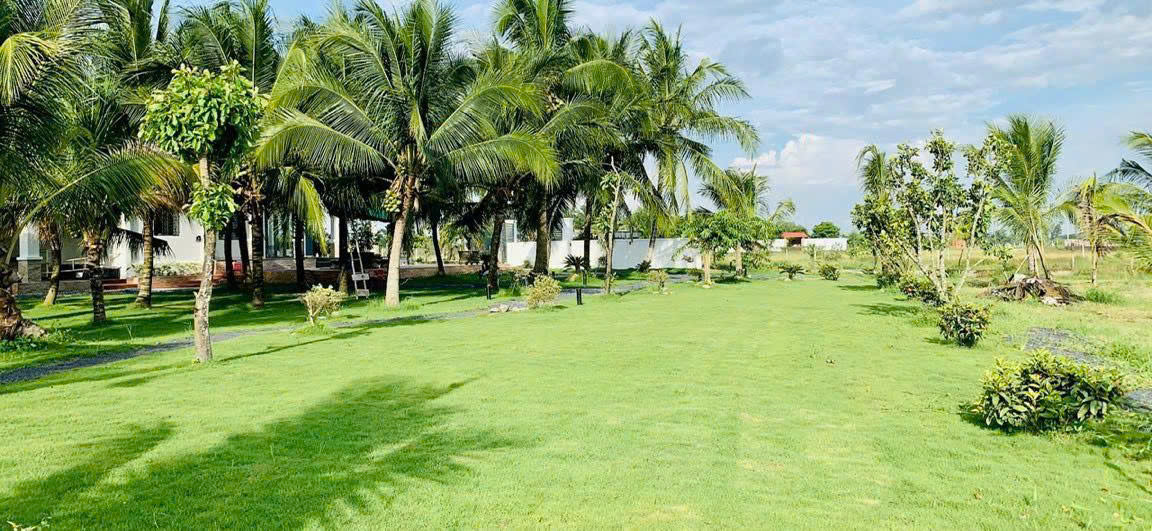 NHÀ VƯỜN 6.000M² – “THIÊN ĐƯỜNG XANH” GIỮA LÒNG CỦ CHI - CHỈ 2.5TR/M² – GIÁ QUÁ HỜI 15985963