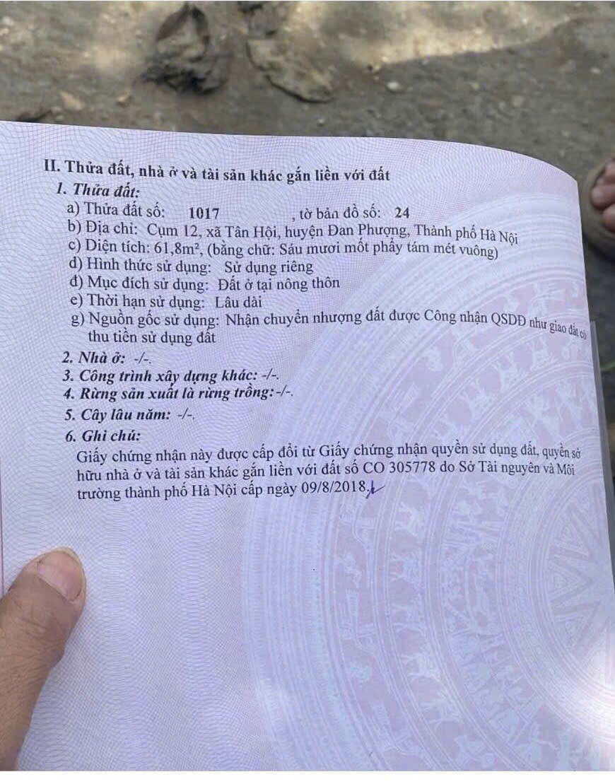ĐẤT ĐẸP - GIÁ TỐT - Bán Đất Tặng Nhà Vị Trí Đắc Địa Tại Tân Hội, Đan Phượng, thành phố Hà Nội 15985991