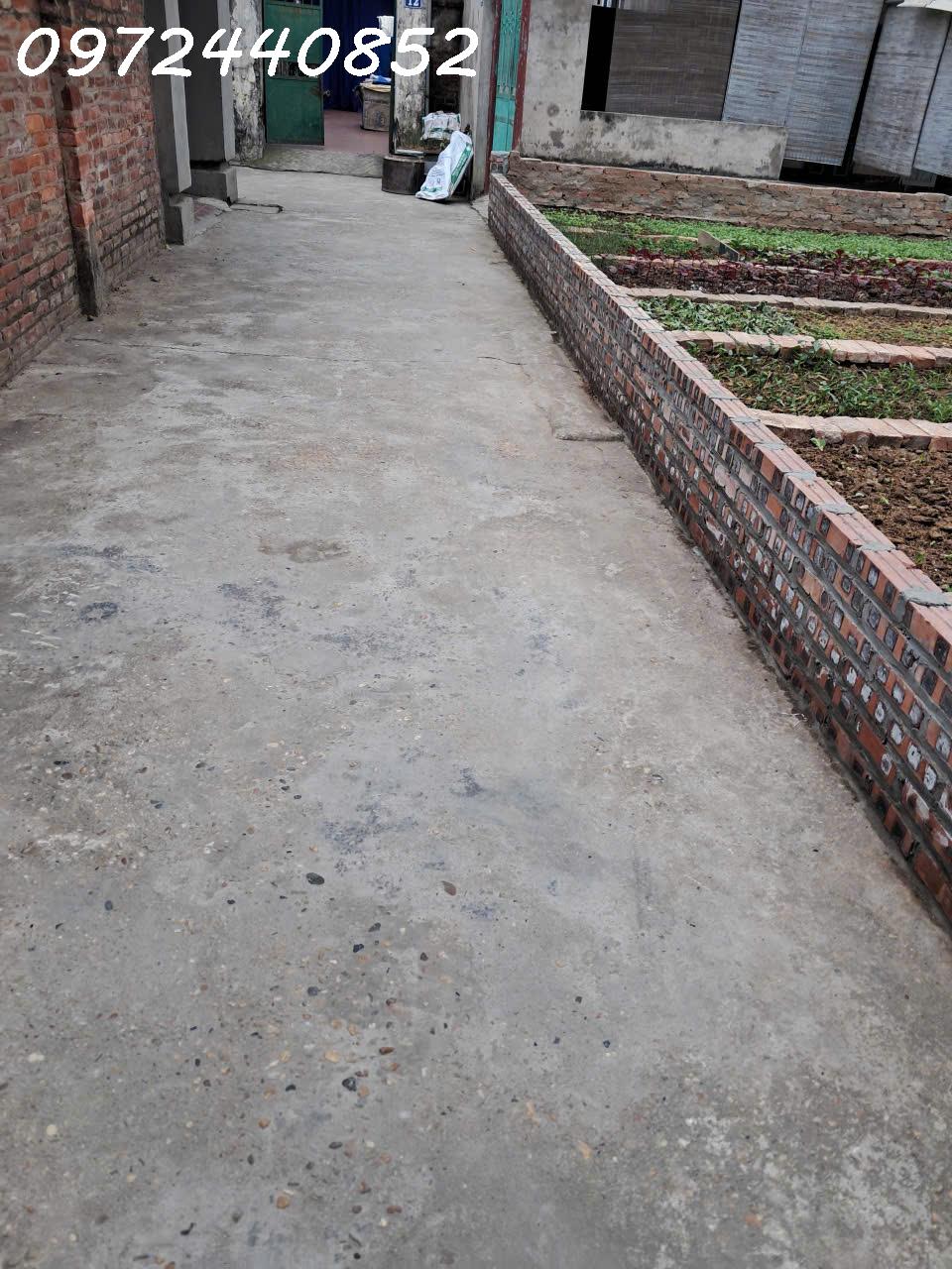 Chính chủ cần tiên bán nhanh lô đất 171m2 tại Phụng Thượng, Phúc Thọ, dân cư đông đúc 15986006