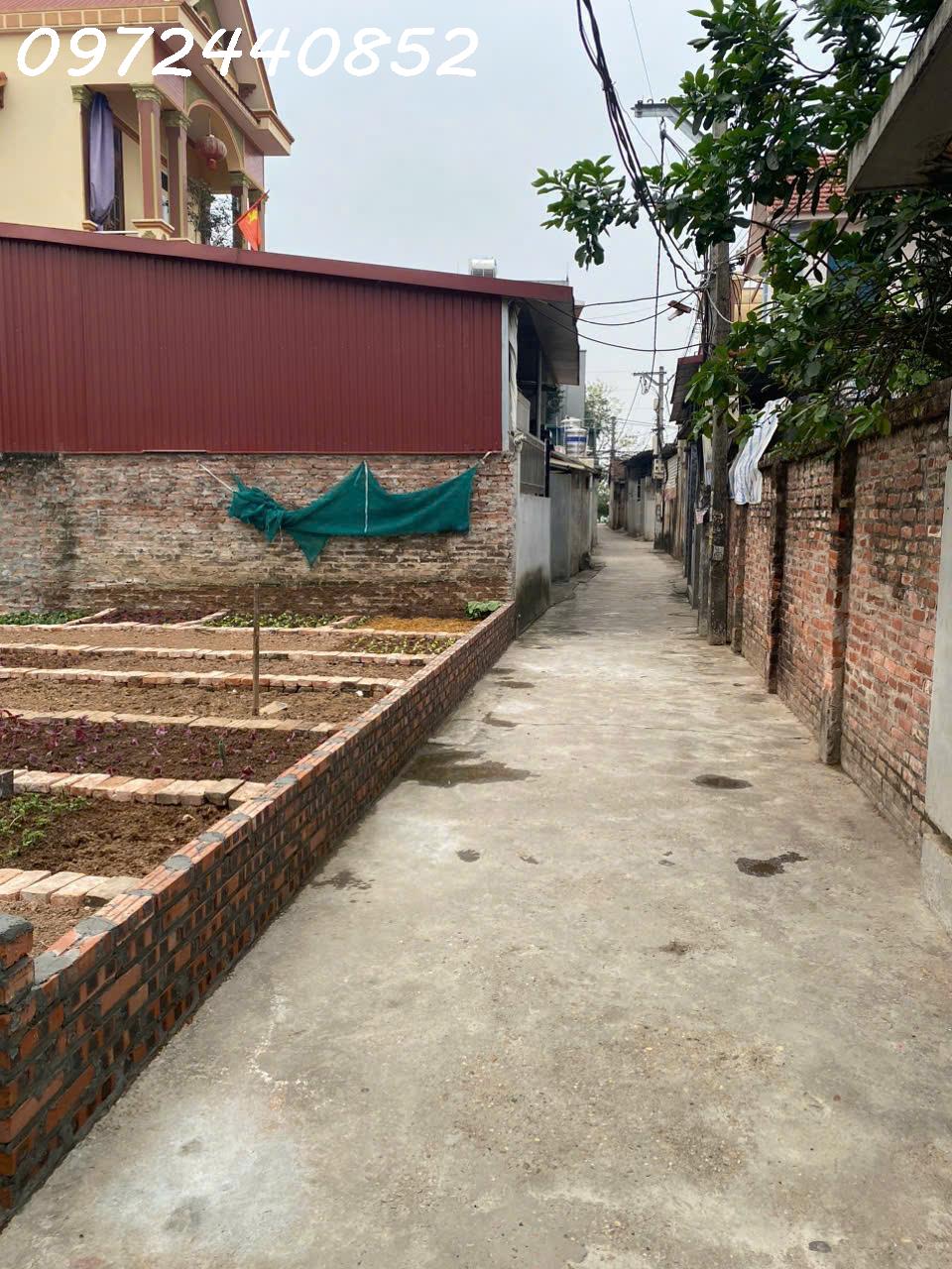 Chính chủ cần tiên bán nhanh lô đất 171m2 tại Phụng Thượng, Phúc Thọ, dân cư đông đúc 15986006