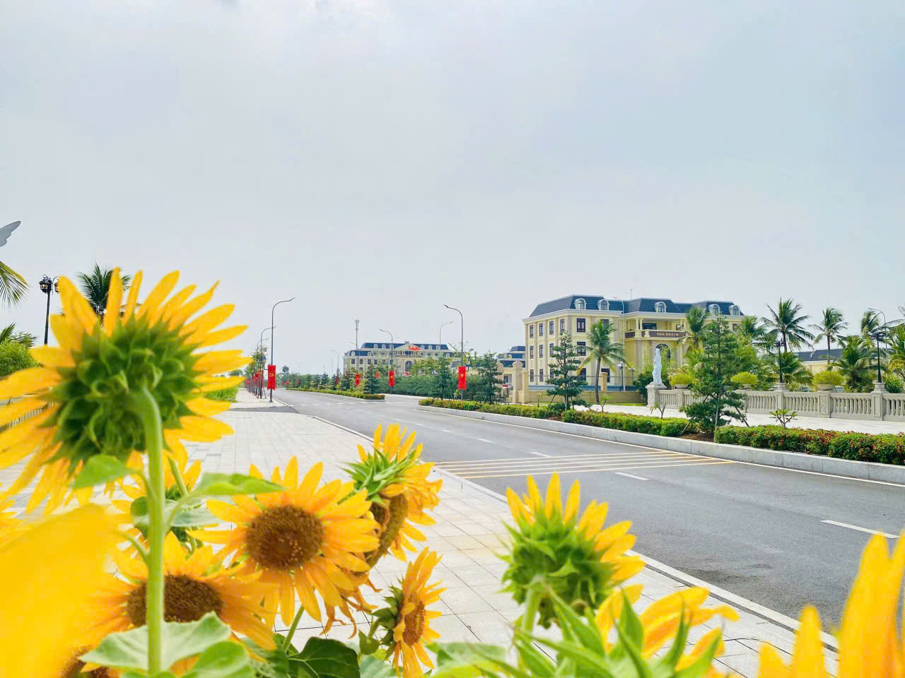 Agora City cơ hội đầu tư & an cư lý tưởng tại Thủ Thừa, Long An. 15986008