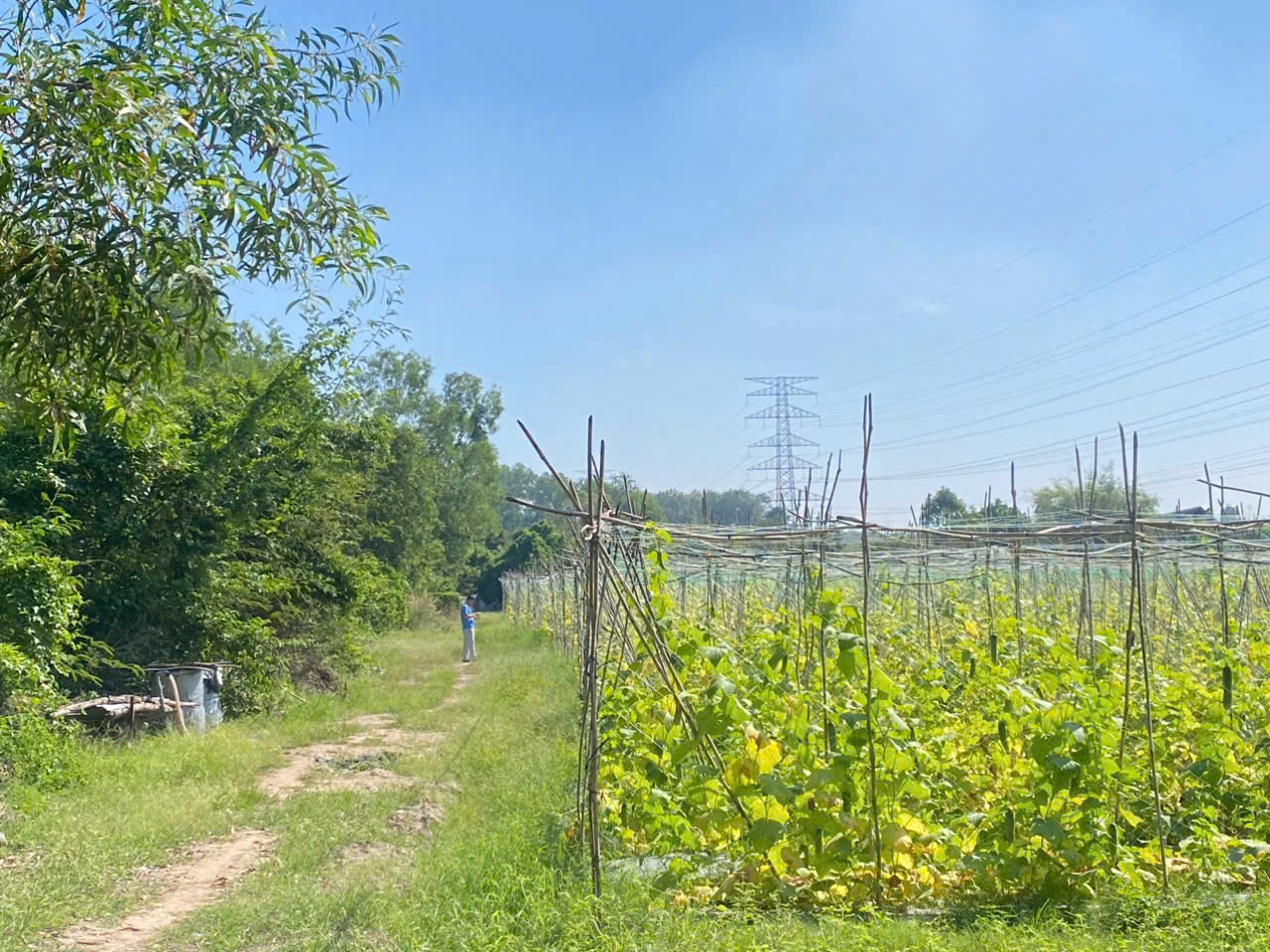 5.000M² NHUẬN ĐỨC – FULL THỔ CƯ – XƯỞNG + 20 PHÒNG TRỌ TẶNG KHÔNG 15986020