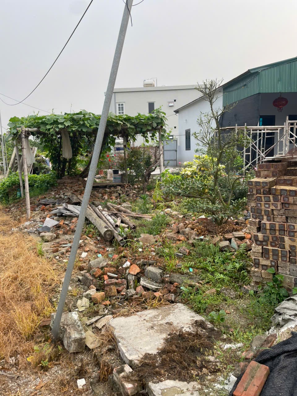 ĐẤT ĐẸP - GIÁ TỐT - Cần Bán Nhanh Lô Đất Tại Thị Trấn Lai Cách, Huyện Cẩm Giàng, Hải Dương. 15986059