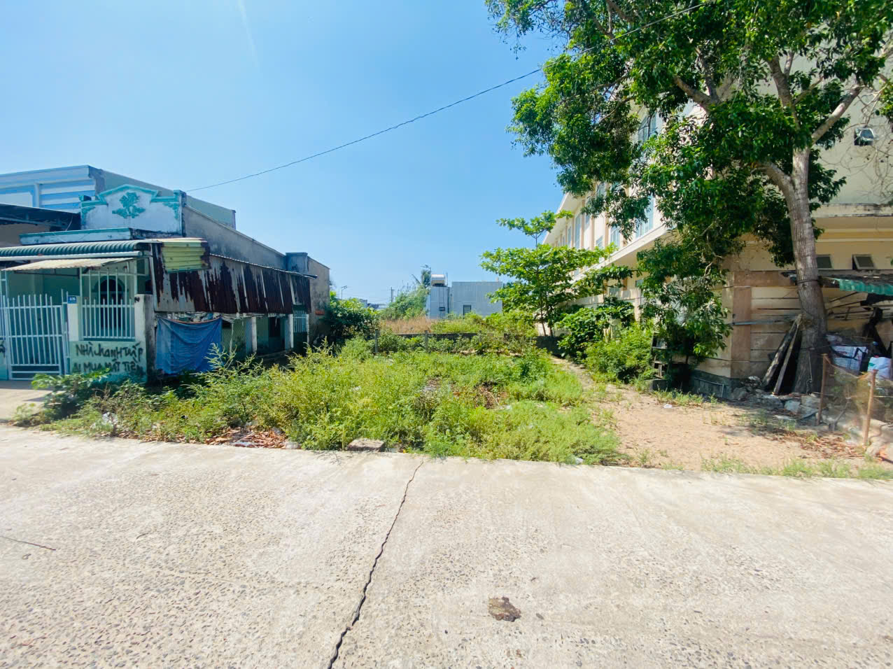 Bán 93m2 đất mặt tiền Trần Đại Nghĩa - Bình Tân - LaGi gần biển Đồi Dương 15986065