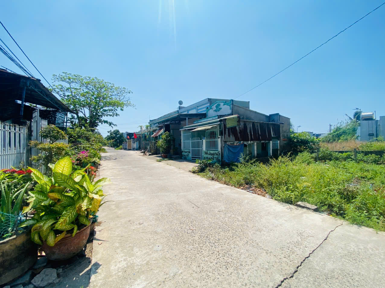 Bán 93m2 đất mặt tiền Trần Đại Nghĩa - Bình Tân - LaGi gần biển Đồi Dương 15986065