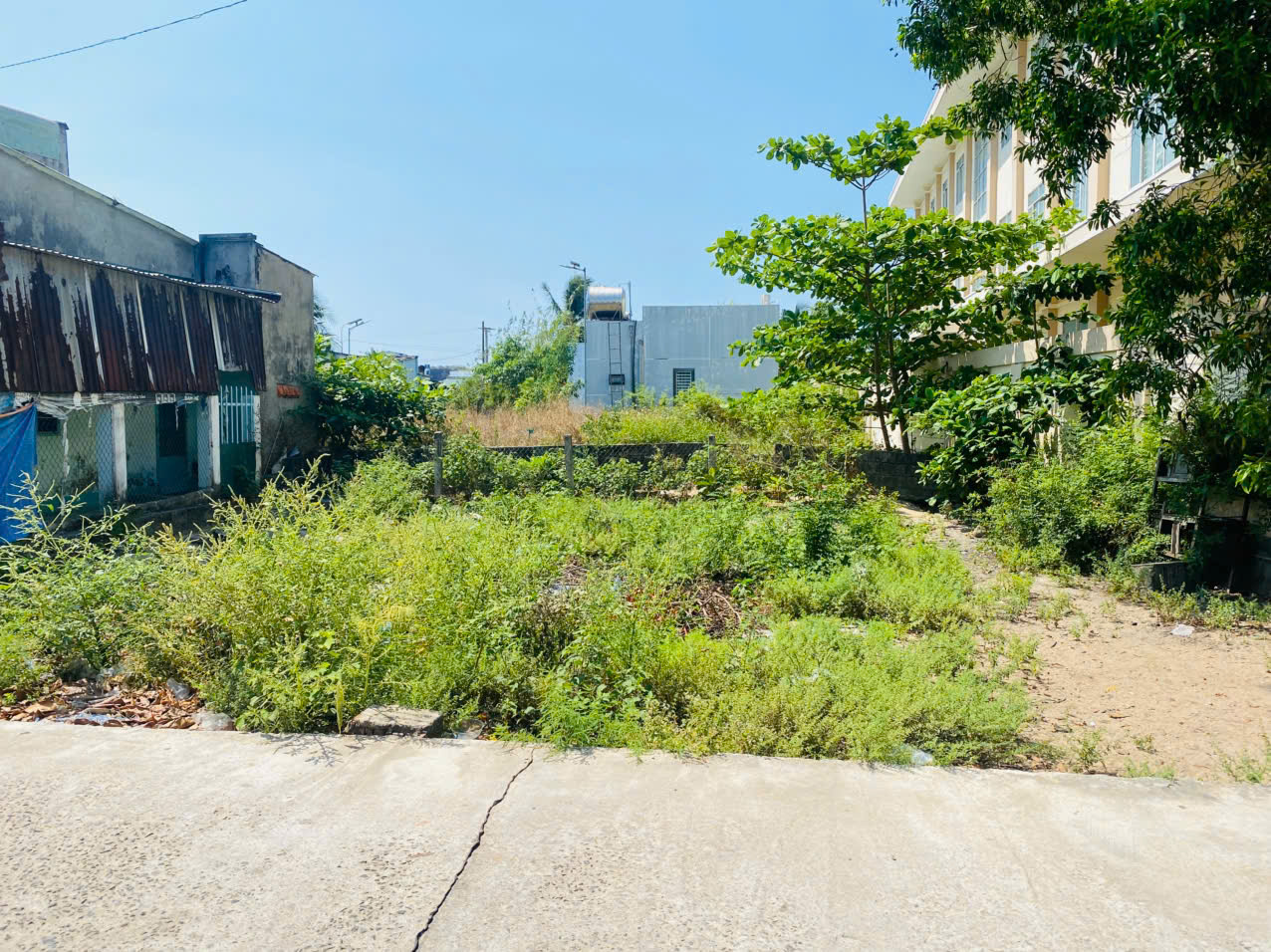 Bán 93m2 đất mặt tiền Trần Đại Nghĩa - Bình Tân - LaGi gần biển Đồi Dương 15986065