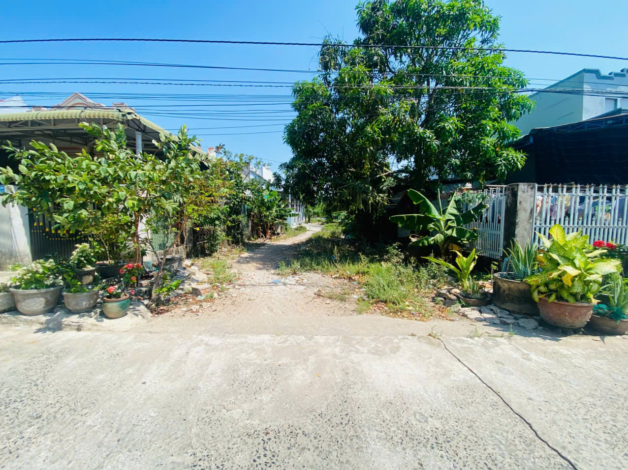 Bán 93m2 đất mặt tiền Trần Đại Nghĩa - Bình Tân - LaGi gần biển Đồi Dương 15986065