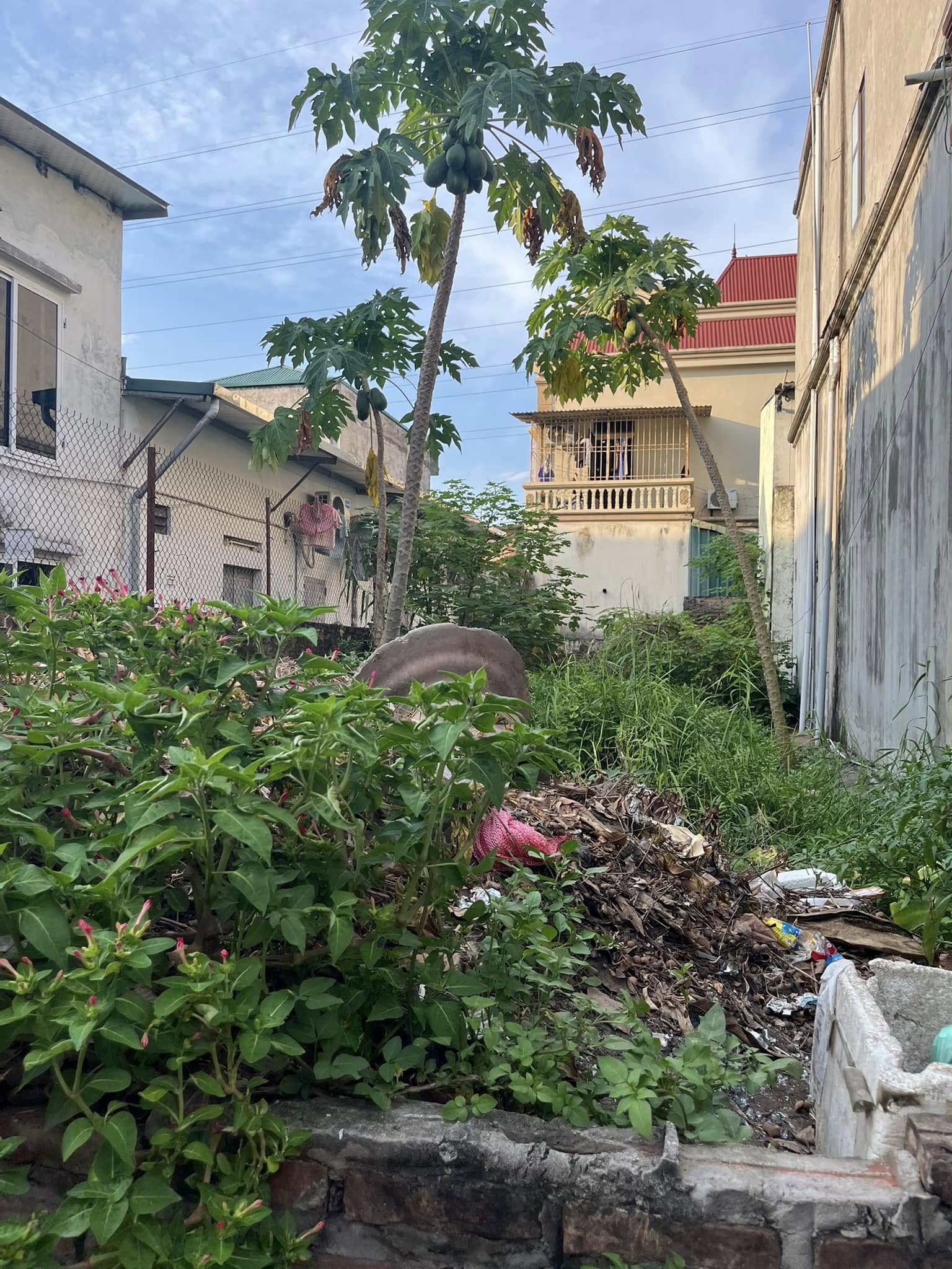 CHÍNH CHỦ CẦN B….N GẤP – GIẢM SÂU LÔ GÓC KIM NỖ, ĐÔNG ANH  Lô góc 2 mặt tiền – cực hiếm, thoáng đẹp 15986079