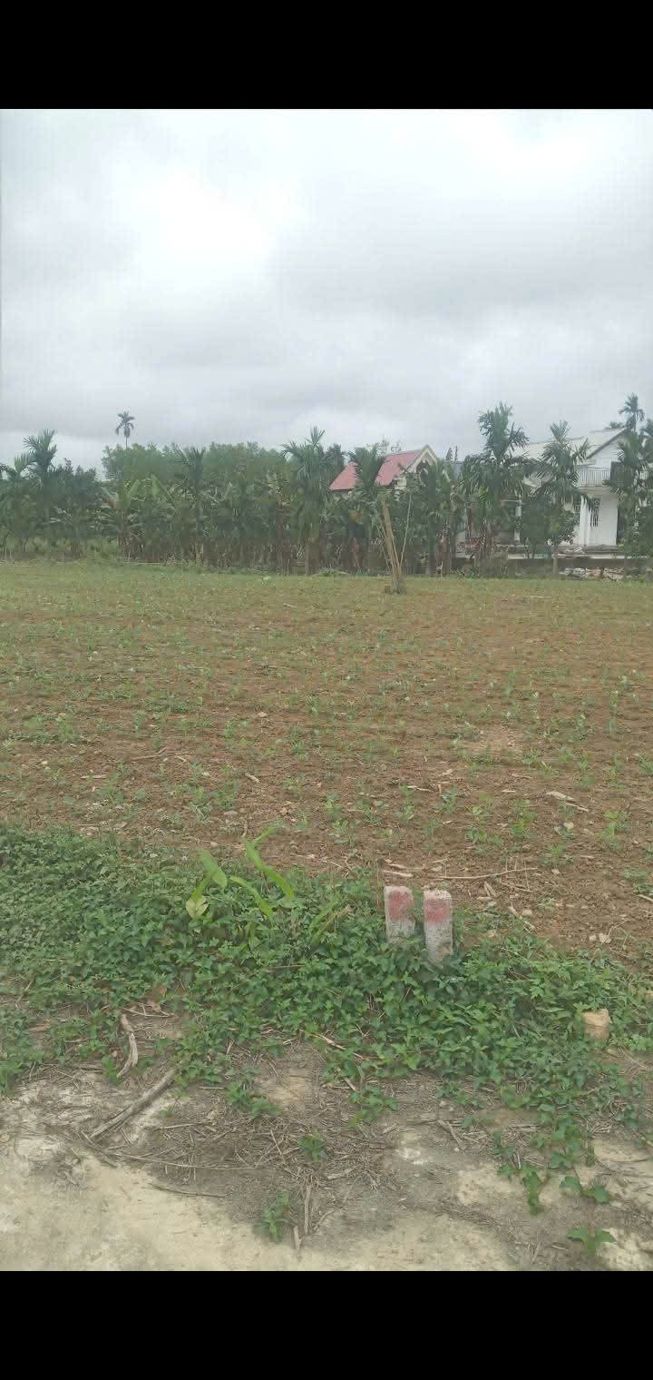 ĐẤT ĐẸP - GIÁ TỐT - Chính Chủ Cần Cần Bán Nhanh Lô Đất Tại Phường Phong Điền, Tp Huế 15986104