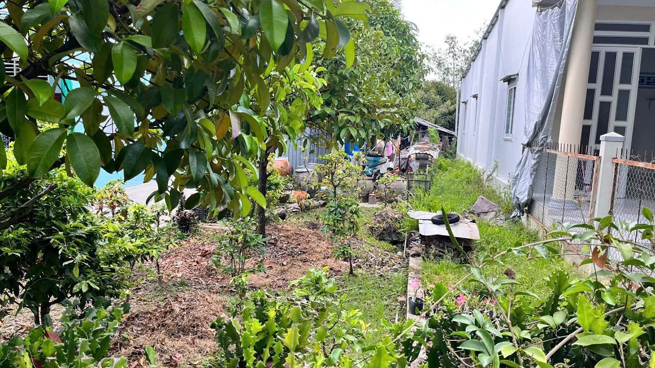 ĐẤT ĐẸP- GIÁ TỐT Chính chủ cần bán lô đất tiềm năng tại Thị Trấn Rạch Gòi, Châu Thành, Hậu Giang 15986105