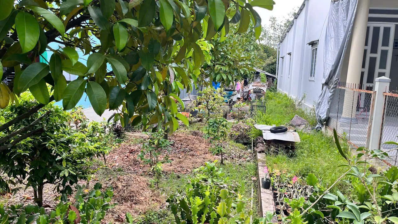 ĐẤT ĐẸP- GIÁ TỐT Chính chủ cần bán lô đất tiềm năng tại Thị Trấn Rạch Gòi, Châu Thành, Hậu Giang 15986105