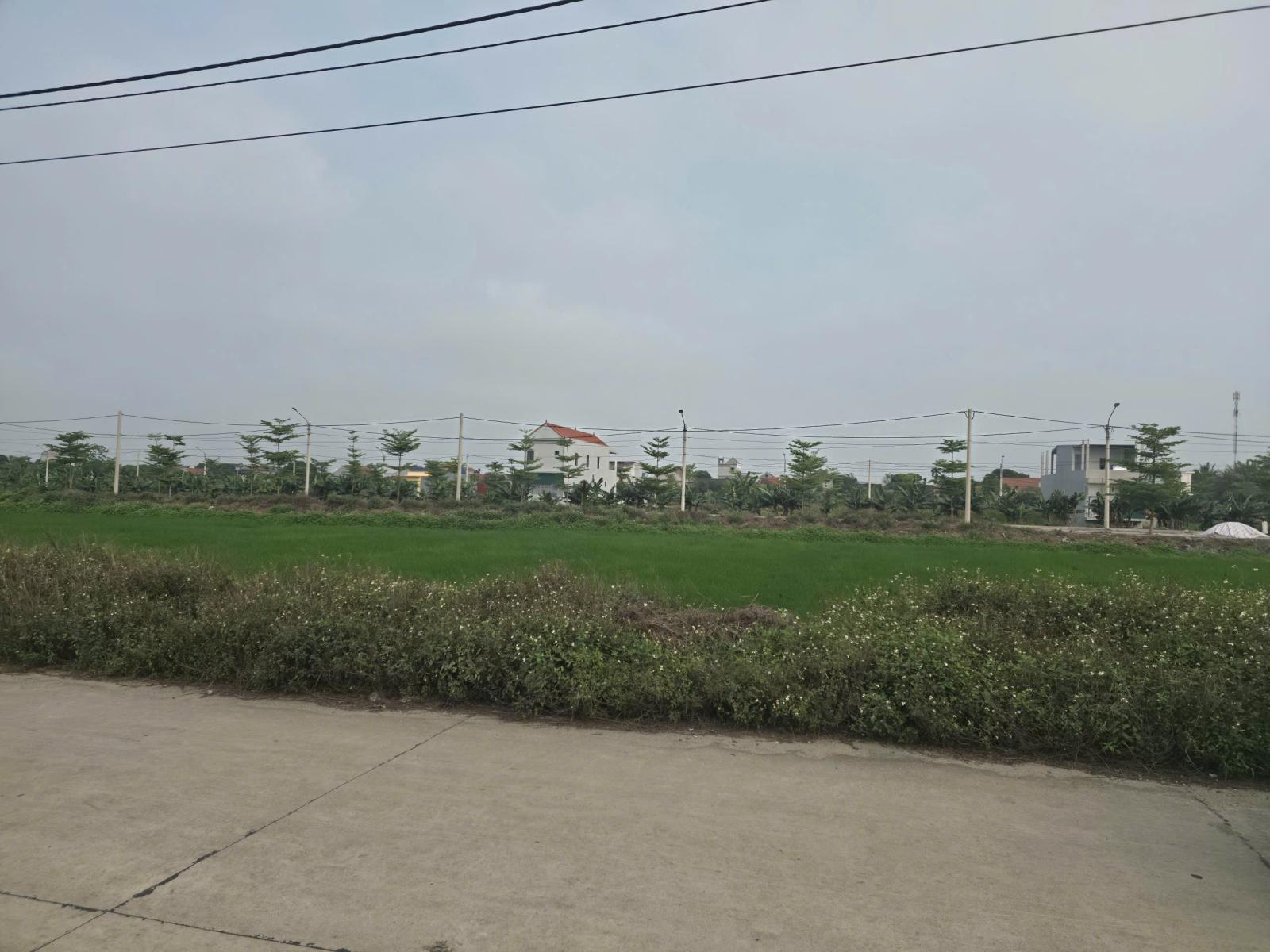 Cần chuyển nhượng lô đất cực đẹp tại khu vực Khánh Hội, Yên Khánh, Ninh Bình. Vị trí kinh doanh hay 15986150