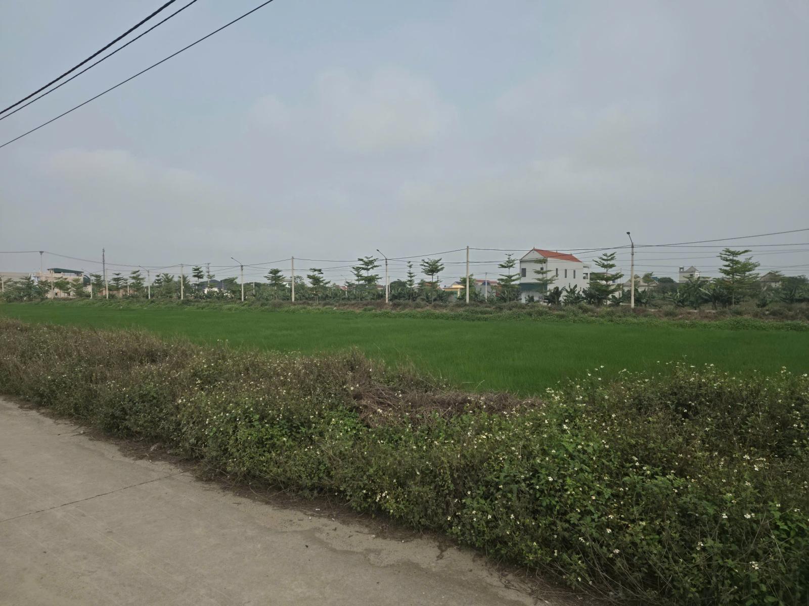 Cần chuyển nhượng lô đất cực đẹp tại khu vực Khánh Hội, Yên Khánh, Ninh Bình. Vị trí kinh doanh hay 15986150