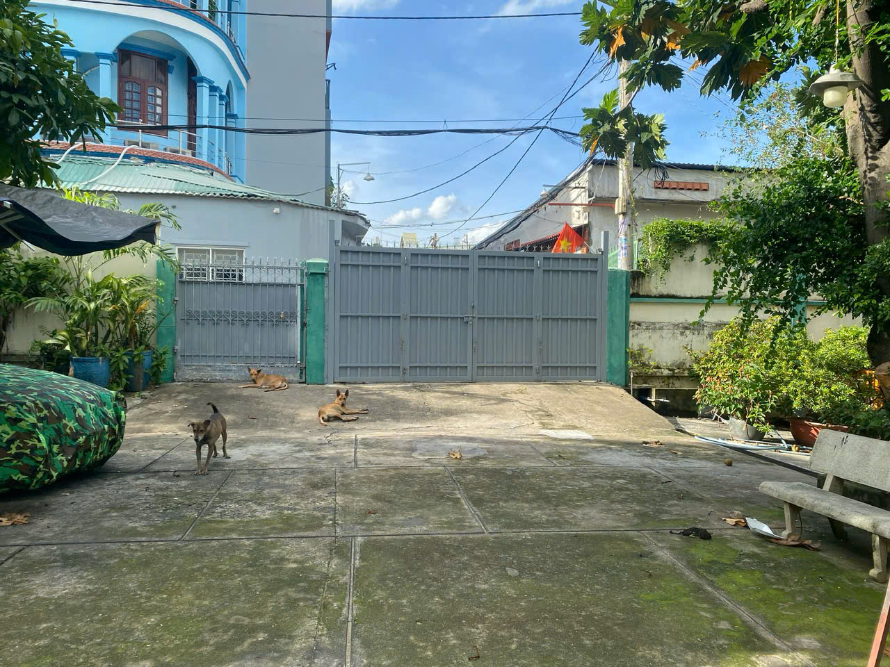 SIÊU BIỆT THỰ + QUỸ ĐẤT 1.090M² – GIẢM SỐC GẦN 30 TỶ – NGAY NGUYỄN VĂN QUÁ 15986154