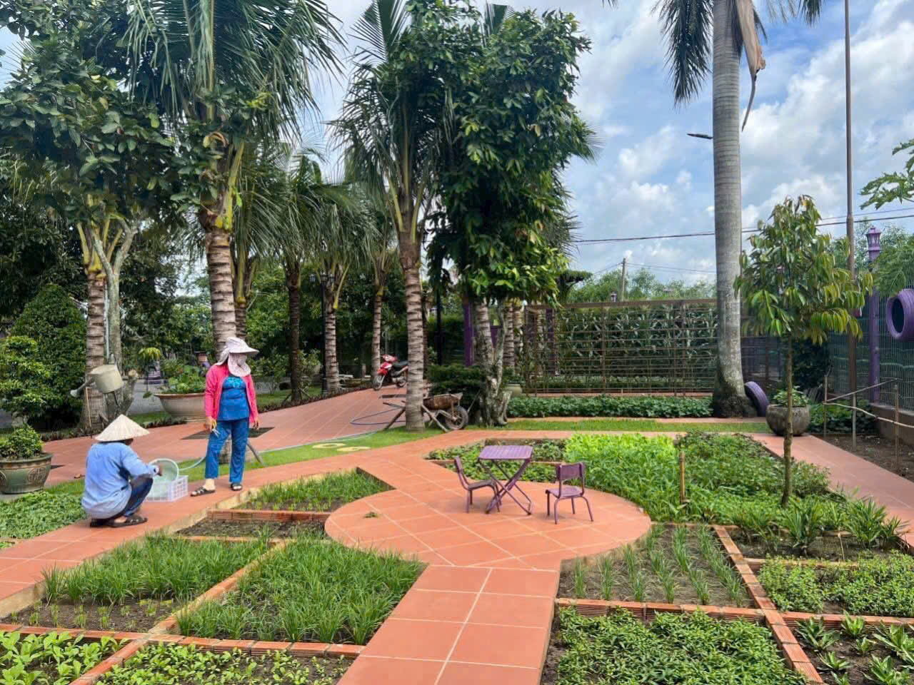 BÌNH MỸ – “NHÀ VƯỜN MÀU TÍM” 3.000M² NGỘP NGÂN HÀNG – GIẢM SỐC 2 TỶ 15986155