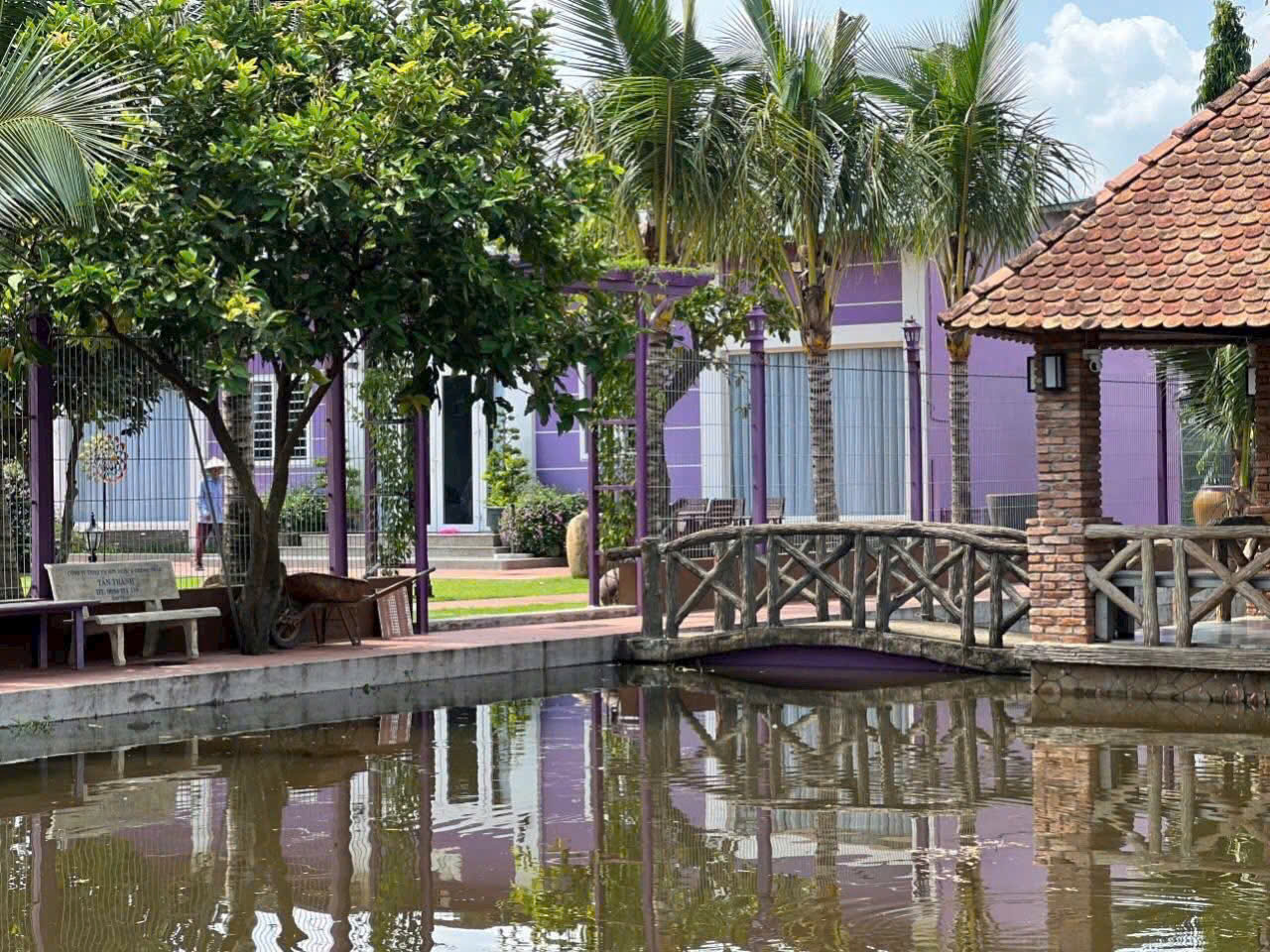 BÌNH MỸ – “NHÀ VƯỜN MÀU TÍM” 3.000M² NGỘP NGÂN HÀNG – GIẢM SỐC 2 TỶ 15986155