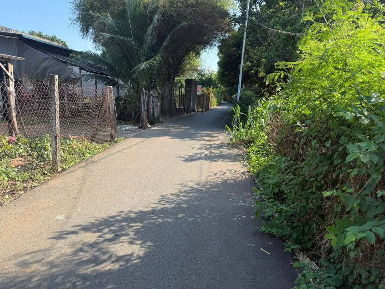 BÁN ĐẤT ĐƯỜNG SỐ 79 – HÒA LONG, TP.HCM 15986240