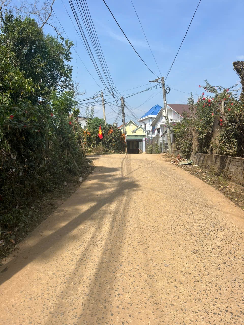 ĐẤT ĐẸP – GIÁ TỐT  – CHÍNH CHỦ CẦN BÁN NHANH đất Phường Lộc Phát, Tp Bảo Lộc, Lâm Đồng 15986303