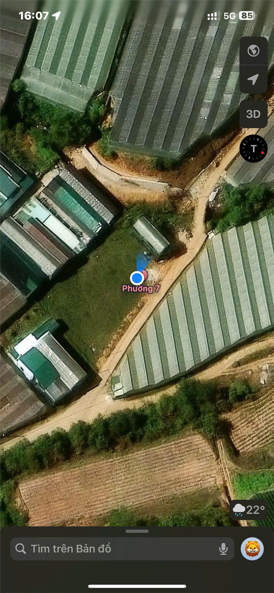 ĐẤT ĐẸP- GIÁ  ĐẦU TƯ CHÍNH CHỦ BÁN LÔ ĐẤT PHƯỜNG 7, Đà Lạt, Lâm Đồng 15986308