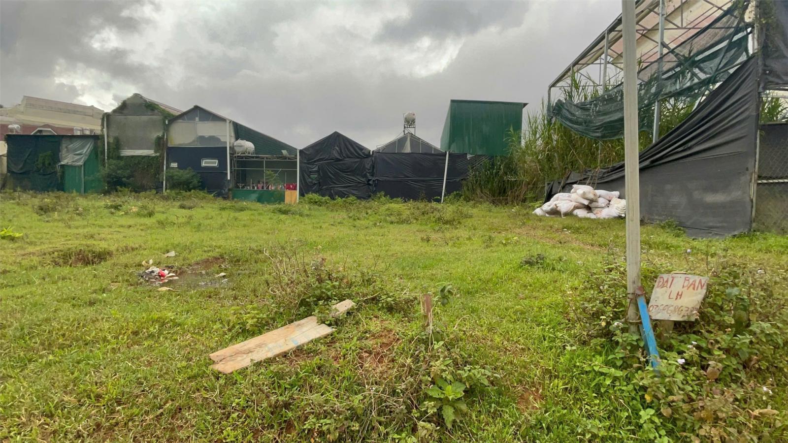 ĐẤT ĐẸP- GIÁ  ĐẦU TƯ CHÍNH CHỦ BÁN LÔ ĐẤT PHƯỜNG 7, Đà Lạt, Lâm Đồng 15986308