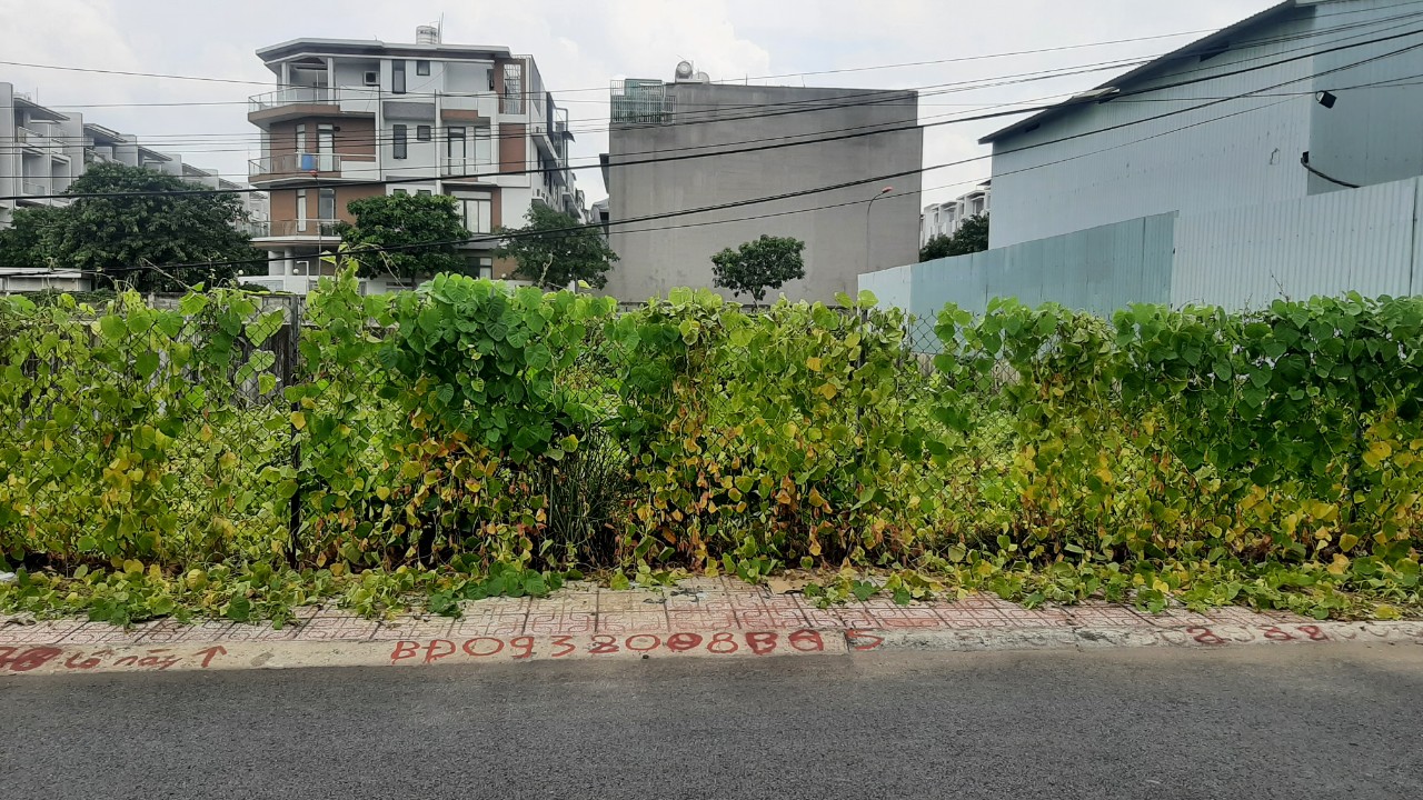 Bán Lô Đất Biệt Thự 2 Mặt Tiền Đường Số 3 Hiệp Bình Phước - Thành Phố Thủ Đức 15986321