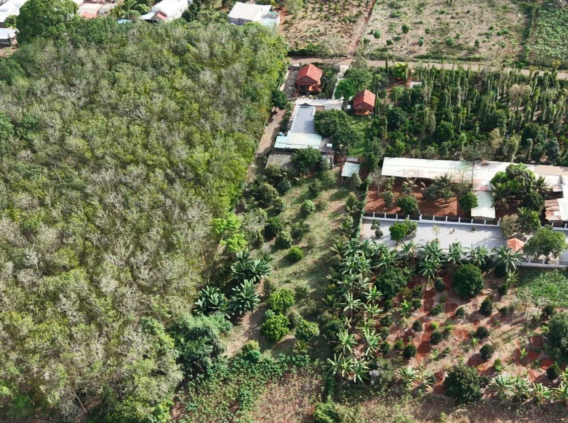 SIÊU PHẨM NHÀ VƯỜN NGHỈ DƯỠNG MẶT TIỀN ĐƯỜNG NHỰA CHÂU ĐỨC, BÀ RỊA - VŨNG TÀU. 15986368