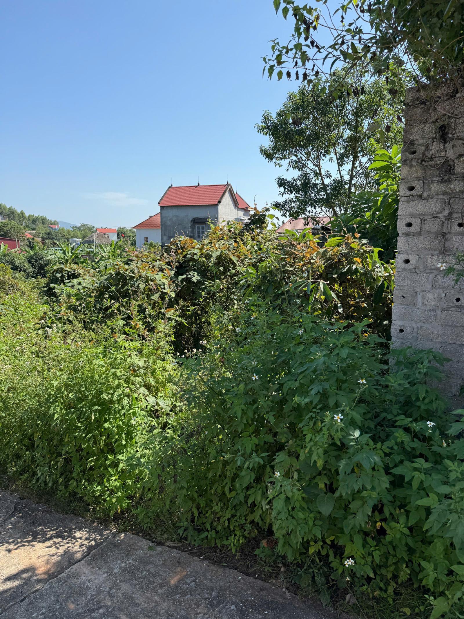 Bán đất Thượng Tùng, Yên Dũng, Bắc Giang. 106m2- Mt 6,3m. đường ô tô. giá 890 triệu 15986466