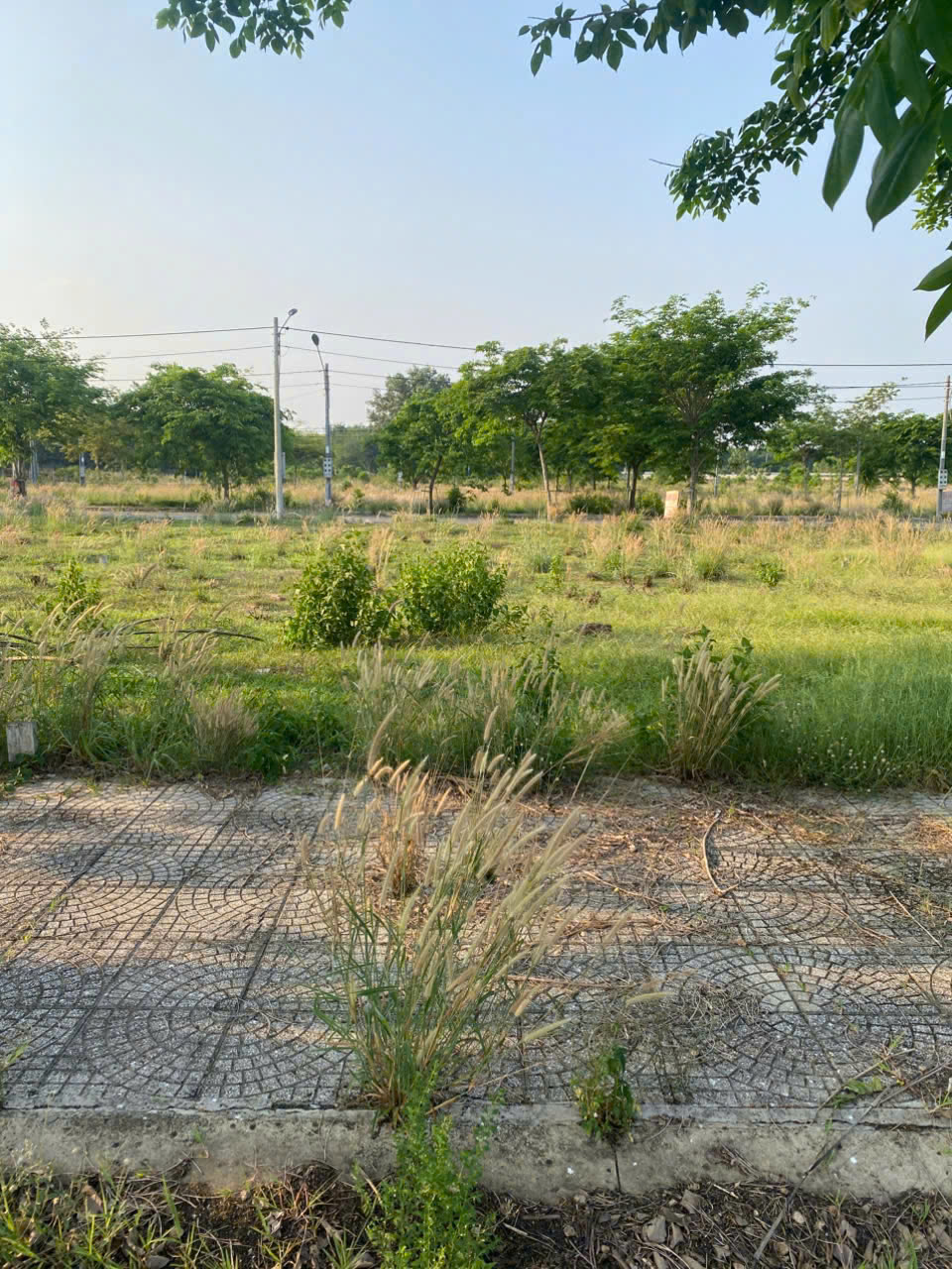 CHÍNH CHỦ CẦN BÁN LÔ ĐẤT ĐẸP – VỊ TRÍ TIỀM NĂNG TẠI BÀU BÀNG, BÌNH DƯƠNG 15986517