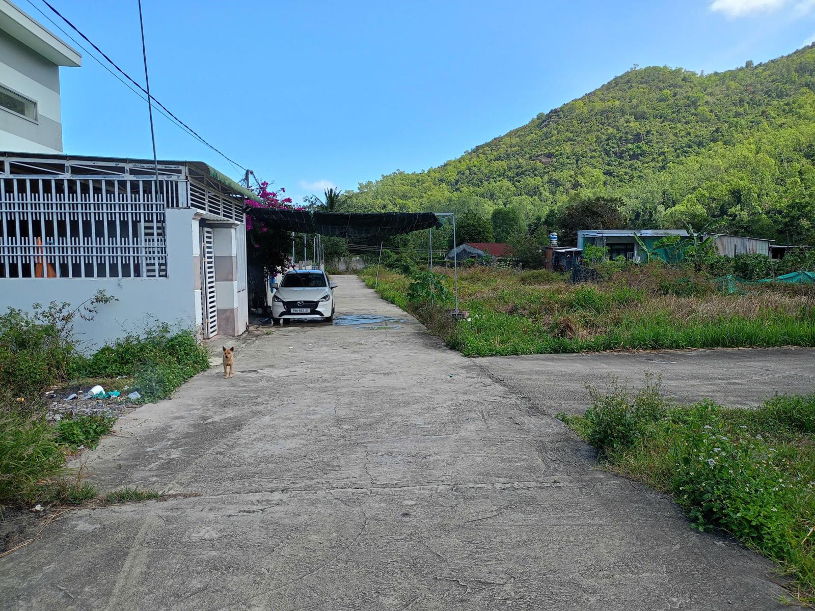 Lô Đất Góc 2 Mặt Tiền Đường Ngang Rộng 14m Gần Sân Golf Diamond Bay Nha Trang Giá chỉ 3ty8 15986550