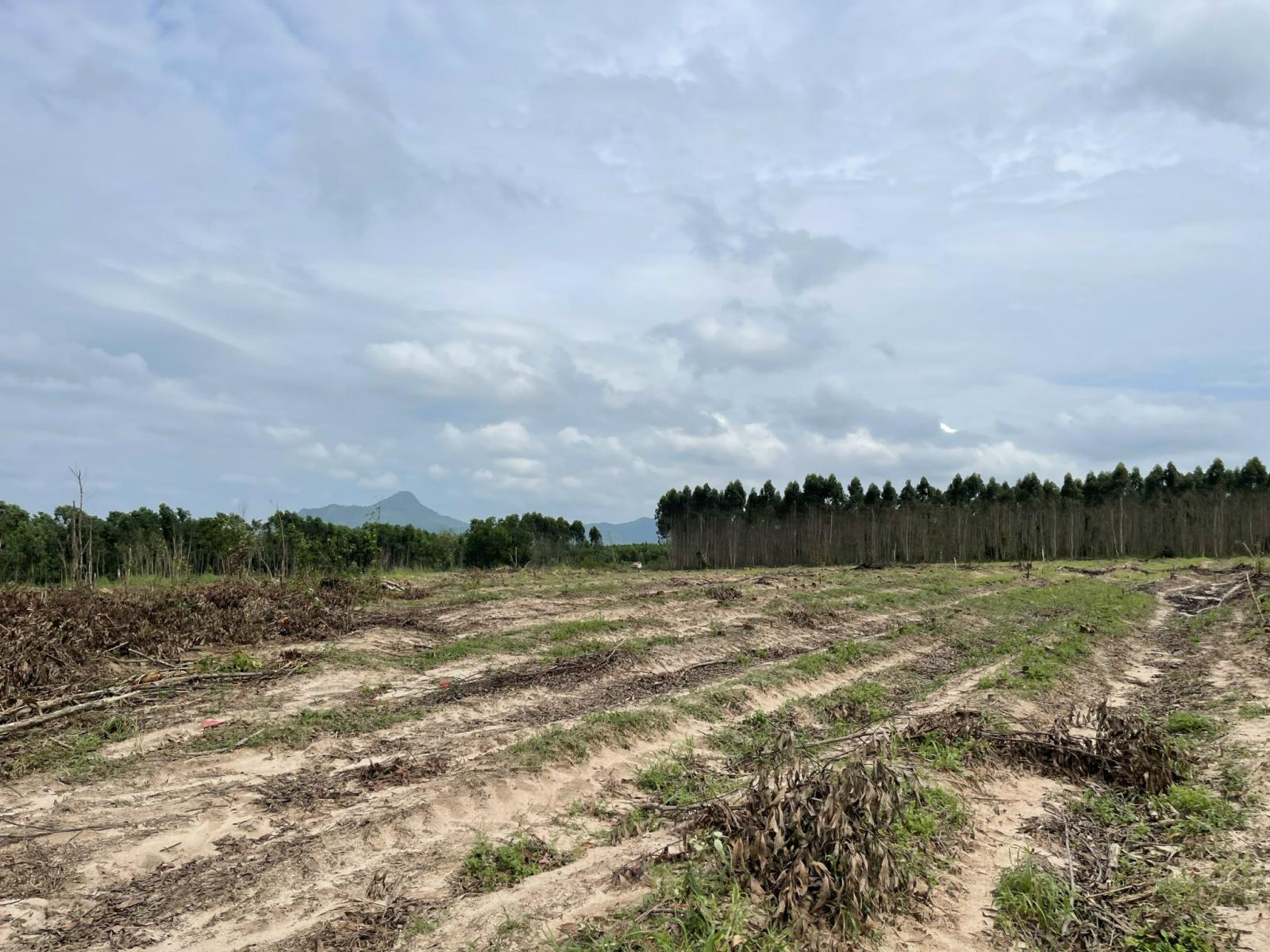 Bán 2000m2 đất Tân Bình - LaGi giảm 50% 500 triệu/1000m2 đường ô tô né nhau 15986568