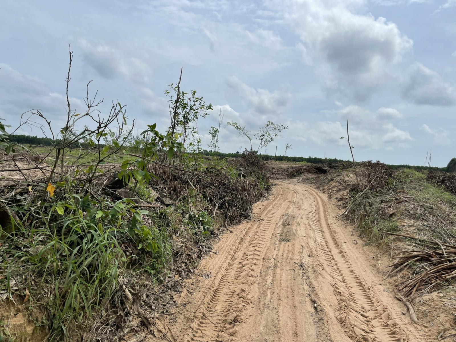 Bán 2000m2 đất Tân Bình - LaGi giảm 50% 500 triệu/1000m2 đường ô tô né nhau 15986568