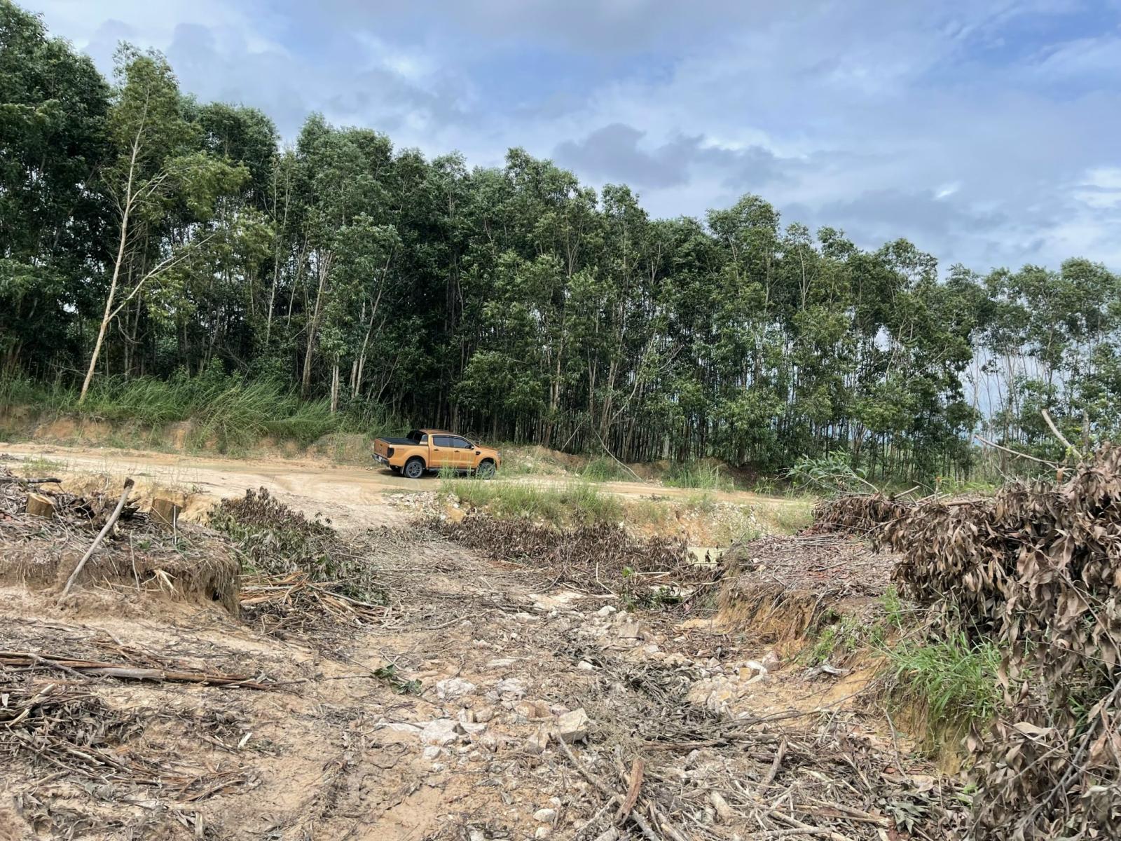 Bán 2000m2 đất Tân Bình - LaGi giảm 50% 500 triệu/1000m2 đường ô tô né nhau 15986568