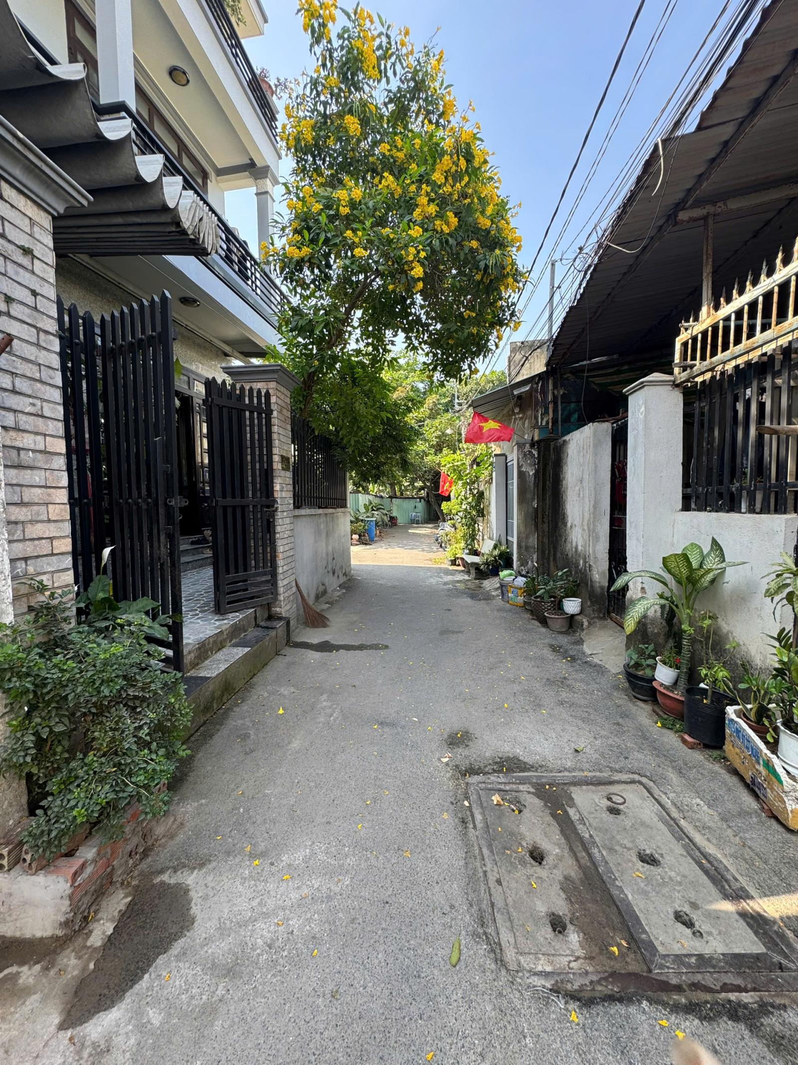 Mở Bán 2 Lô Đất Thổ Cư 100% – Hẻm 47 Đường 12 – Tam Bình – TP Thủ Đức 15986598