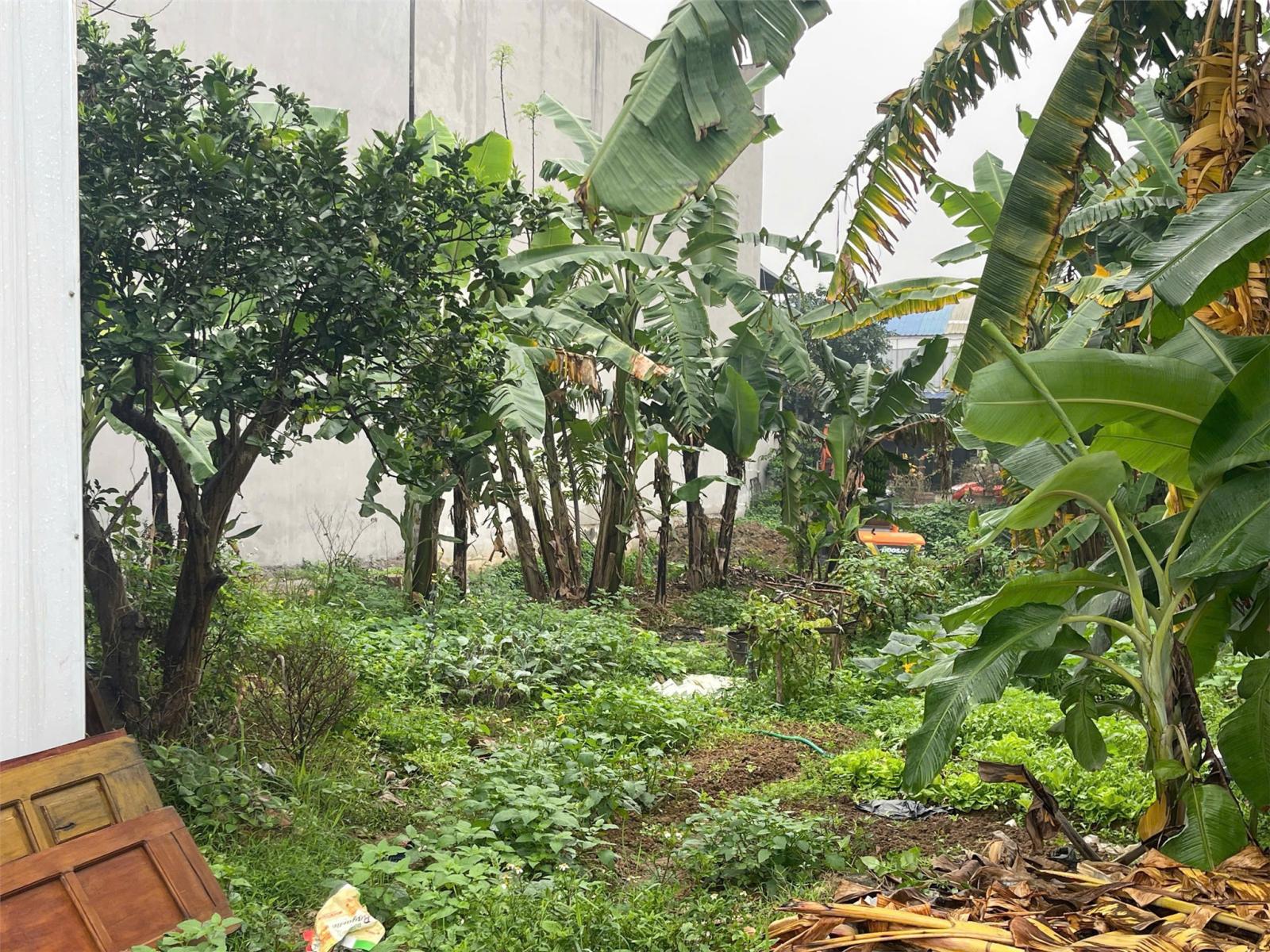 ĐẤT ĐẸP – GIÁ TỐT  – CHÍNH CHỦ CẦN BÁN NHANH đất phường Vĩnh Yên gần kđt Nam Vĩnh Yên, Vĩnh Phúc 15986602