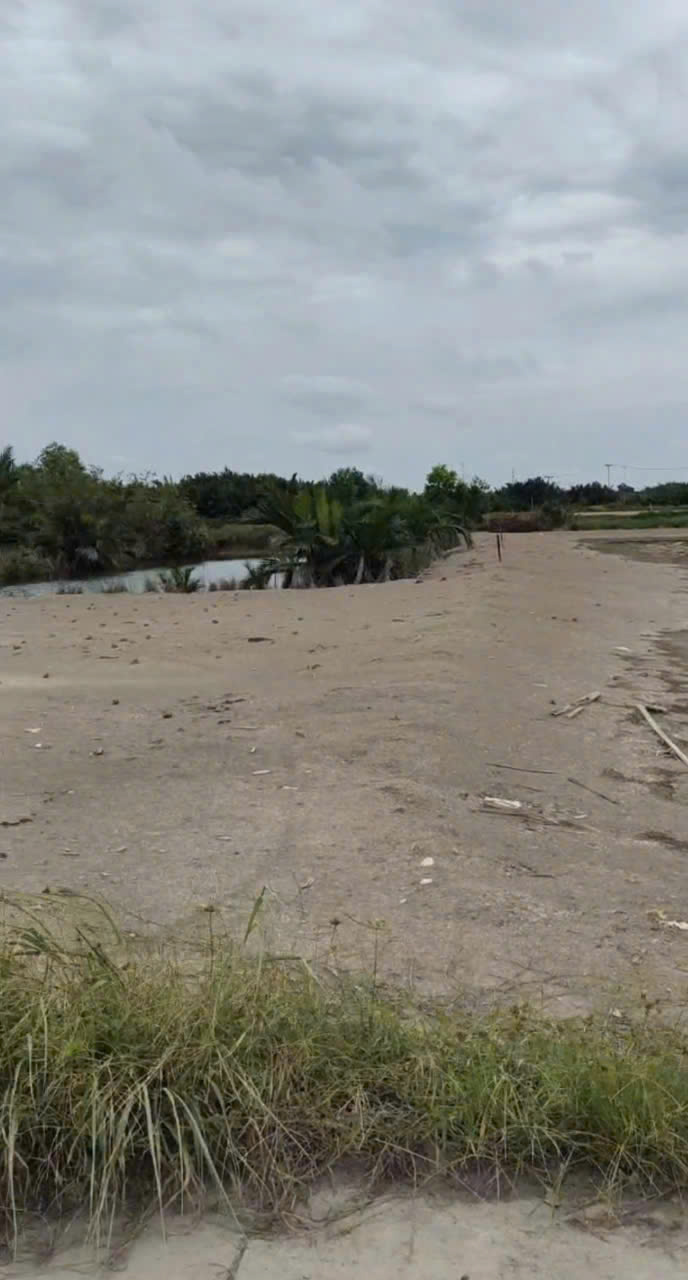 BÁN 555M2 ĐẤT SẴN SỔ MẶT TIỀN ĐƯỜNG CÁ SÚC-BÌNH KHÁNH-CẦN GIỜ 15986605