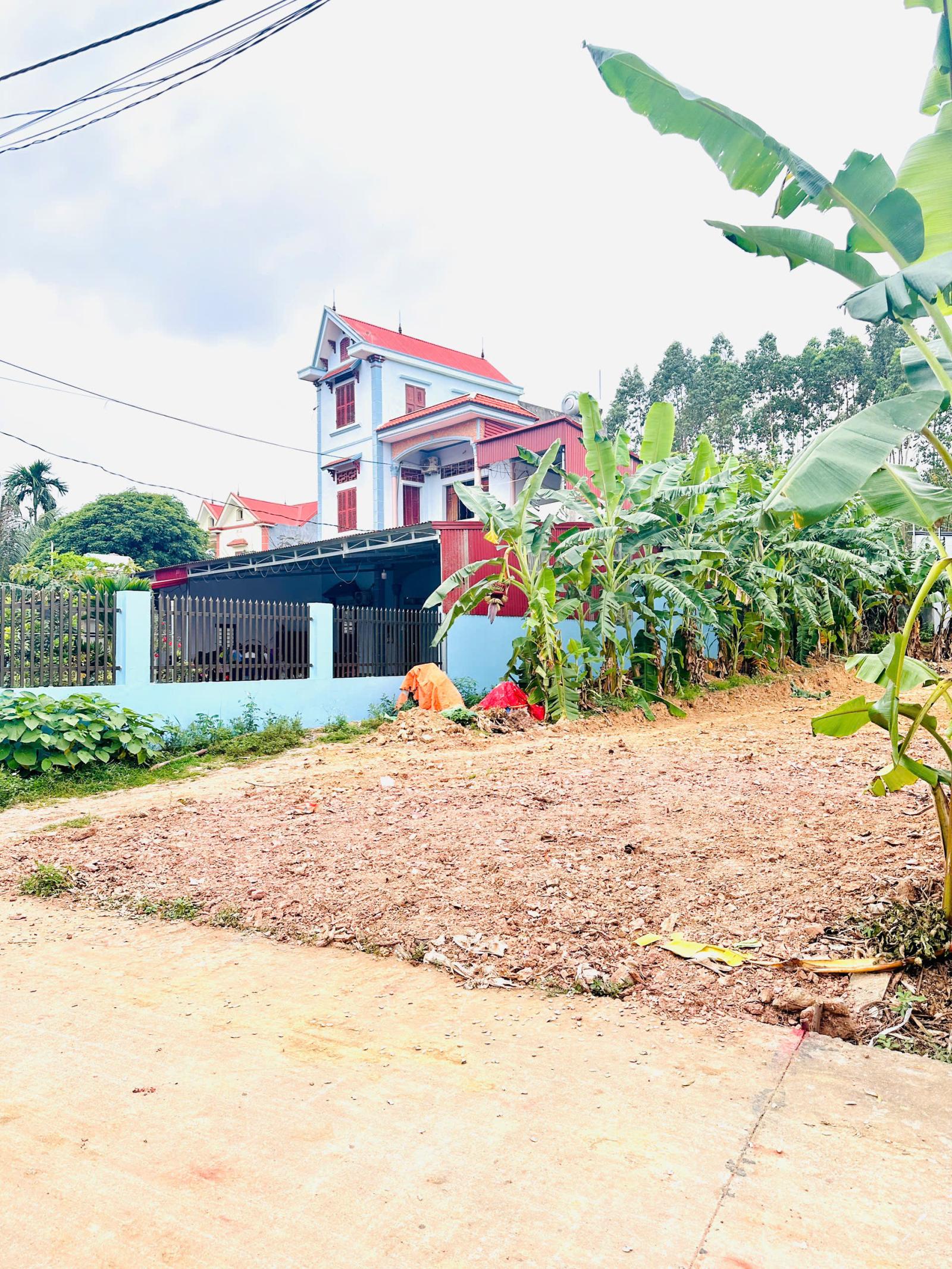 BÁN SIÊU PHẨM ĐẤT ĐẸP- Phù Hợp Cho Mọi Gia Đình 15986635