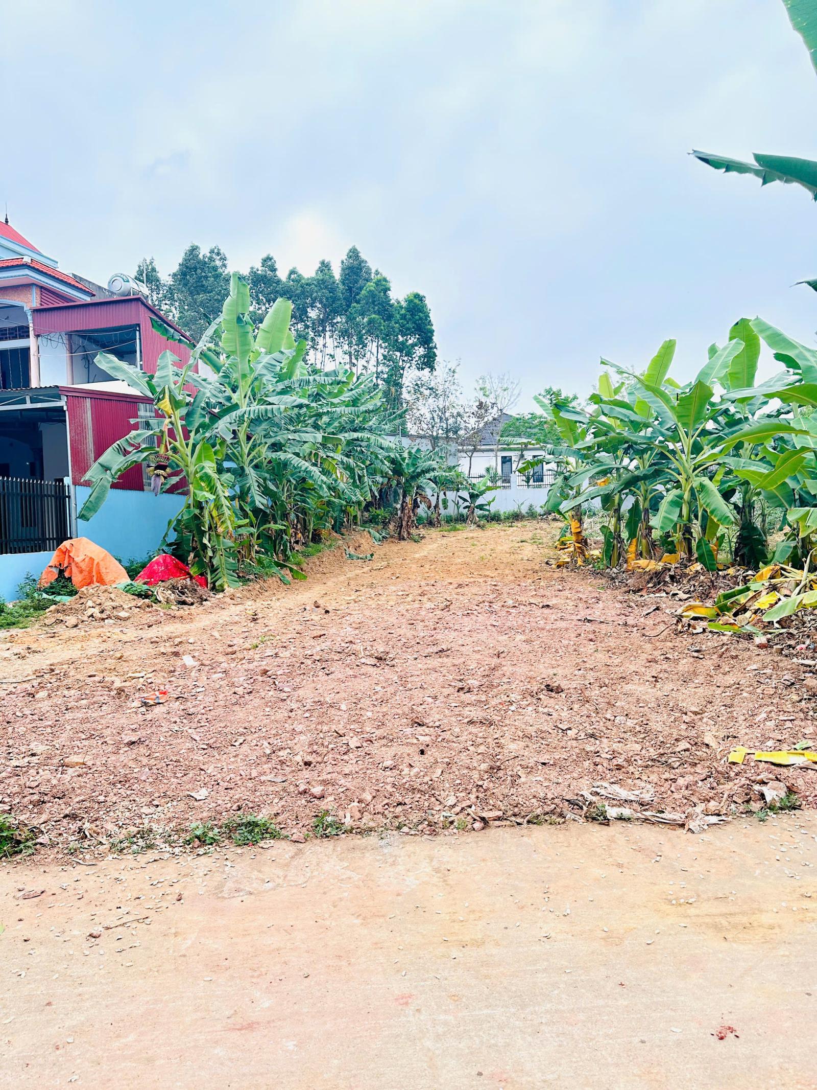 BÁN SIÊU PHẨM ĐẤT ĐẸP- Phù Hợp Cho Mọi Gia Đình 15986635