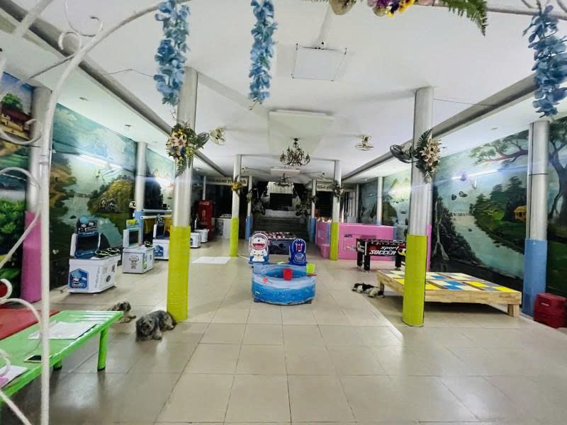 Bán nhà Mặt tiền Lê Trọng Tấn gần Tây Thạnh - CN1, 8x46m, 365m2, Cấp 4 - tiện xây, 45 tỷ. 15986850