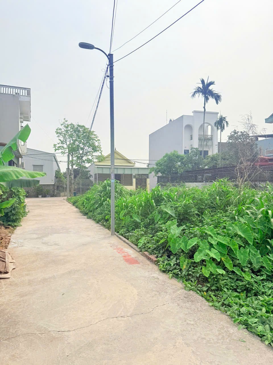 Giá 1.xx tỷ- Lô đất ngõ 78 Tư Thủy, Hòa Nghĩa, mặt đường nhựa rộng - ZALO 0567 222 555 15986916