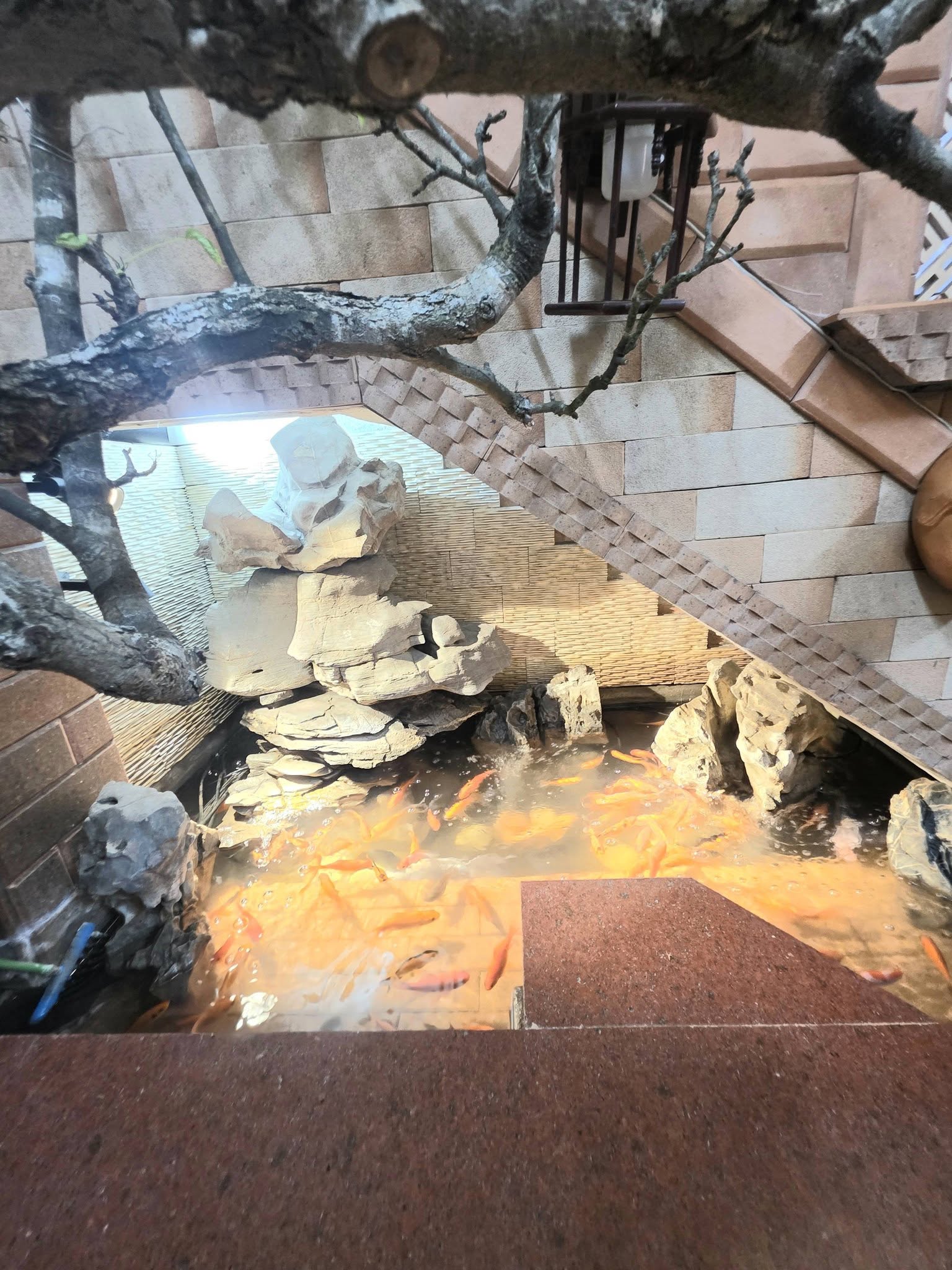 BÁN NHÀ PHỐ ĐỒNG CỔ 48M 4T MT5 M GIÁ 14 TỶ NGÕ THÔNG GẦN ĐƯỜNG Ô TÔ 15986955