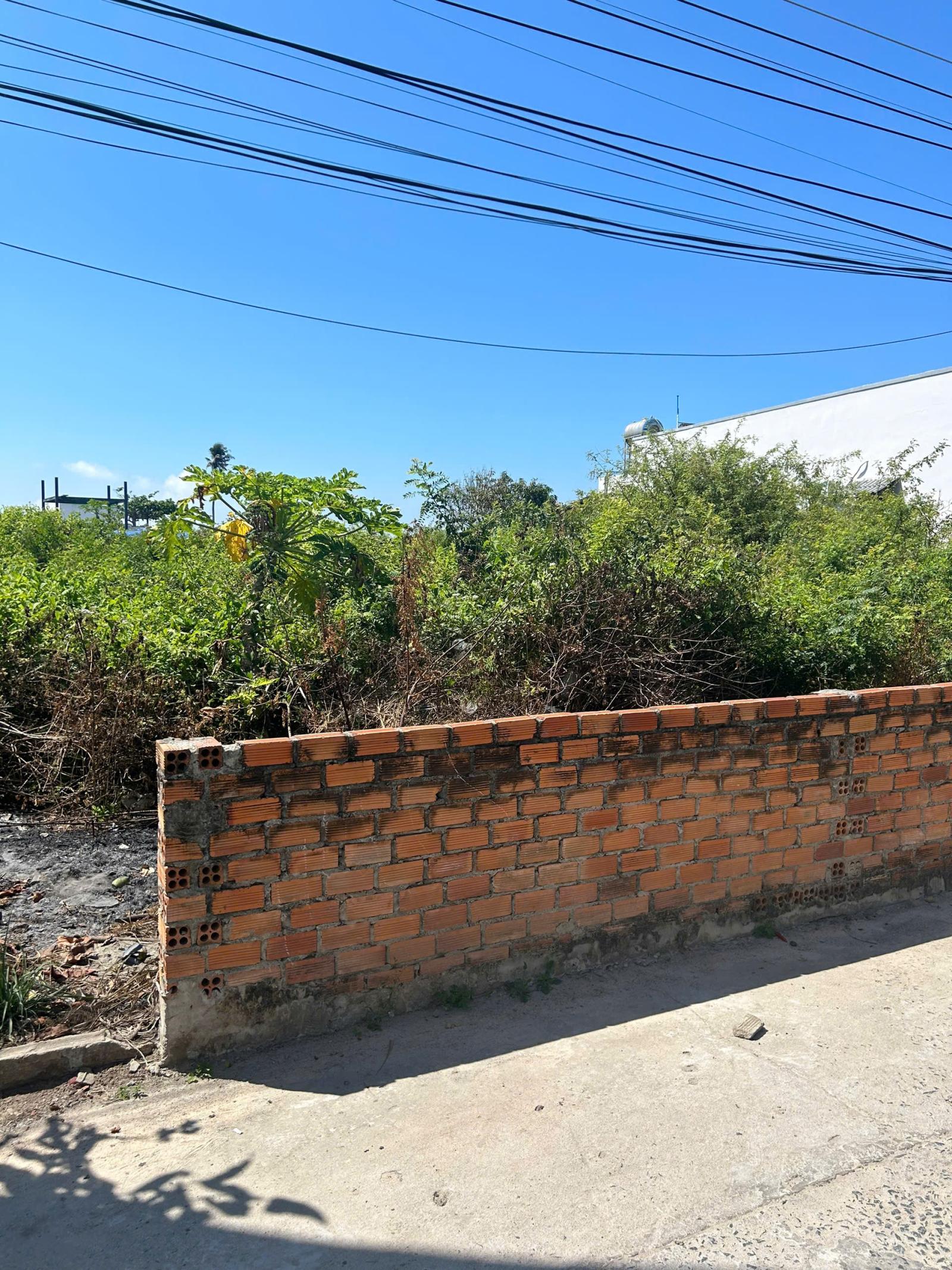 Bán 988m2 đất Biển Tam Tân, Tân Tiến, LaGi giá rẻ nhất cách Biển 50m 15987021