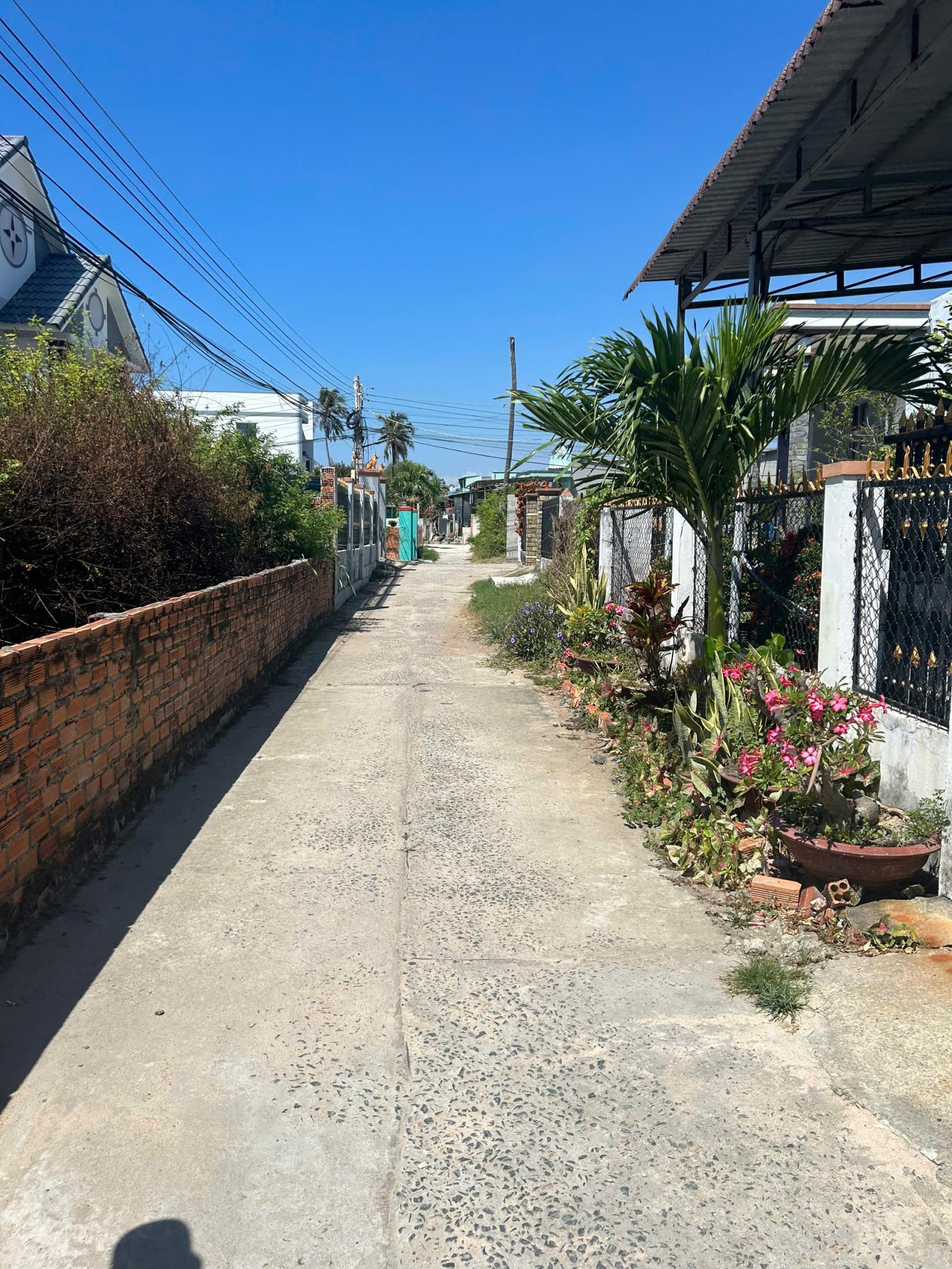 Bán 988m2 đất Biển Tam Tân, Tân Tiến, LaGi giá rẻ nhất cách Biển 50m 15987021