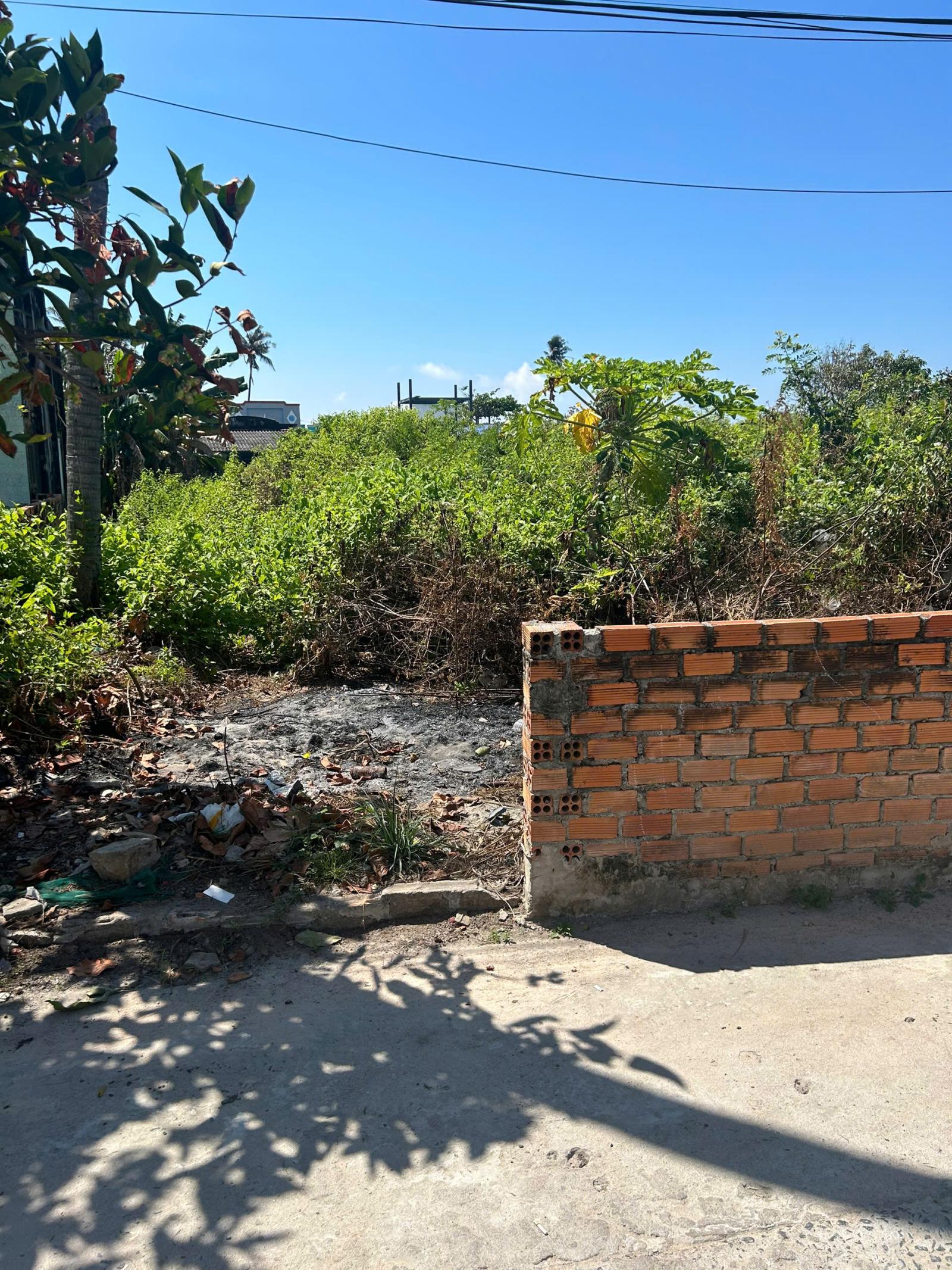 Bán 988m2 đất Biển Tam Tân, Tân Tiến, LaGi giá rẻ nhất cách Biển 50m 15987021