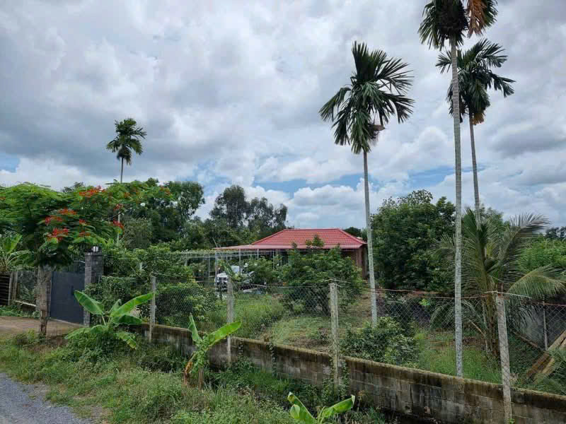 BÁN GẤP VƯỜN TRÁI CÂY VEN KÊNH – 1.100M² – CHỈ 4,8TR/M² – GIÁ MỀM HIẾM CÓ 15987027