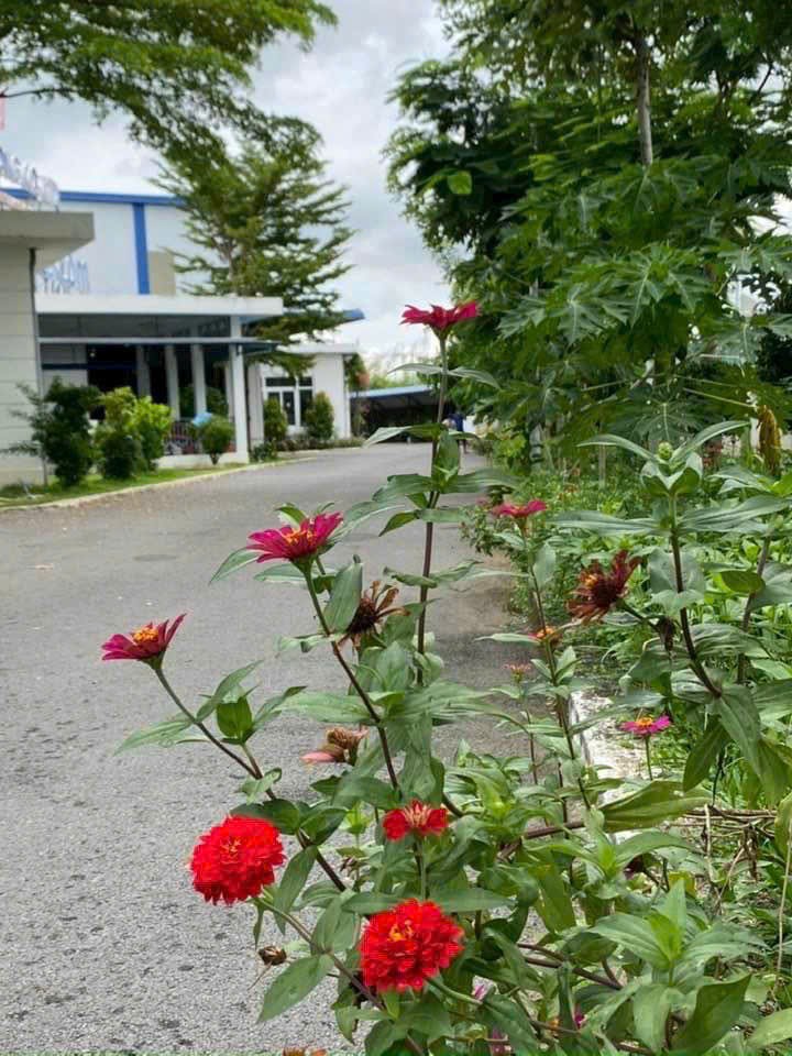 XT082 nhà xưởng sản xuất cho thuê lâu dài, thu hút nhiều ngành nghề theo QD KCN 15987057