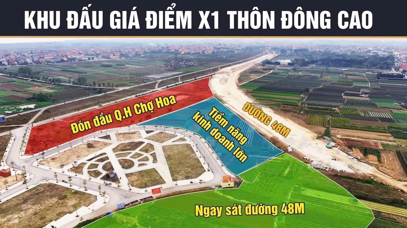 Chính Chủ Gửi Bán Đấu Giá X1 Đông Cao 140m2 Lô góc 15987065