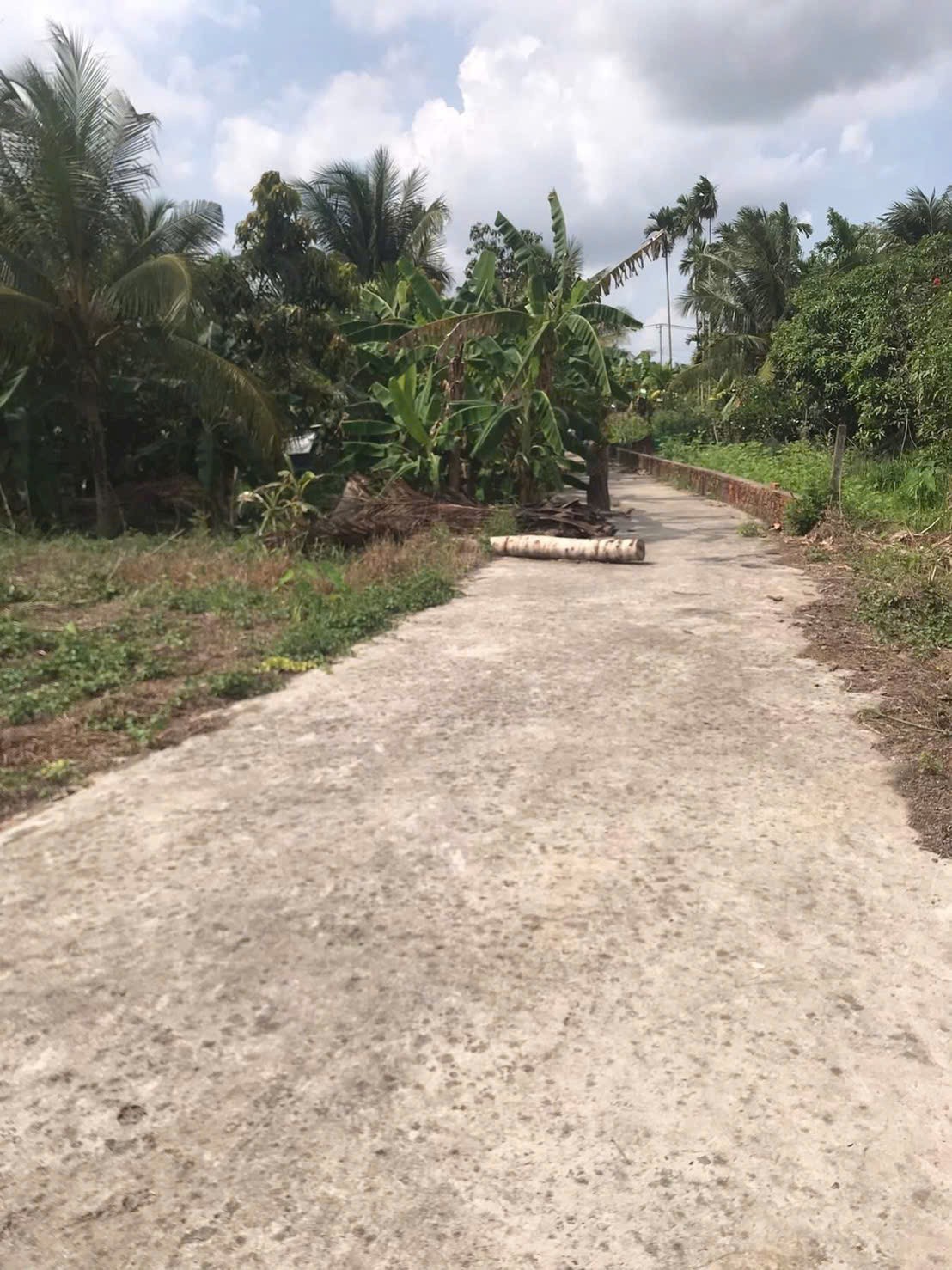 ĐẤT ĐẸP – GIÁ TỐT – CHÍNH CHỦ CẦN BÁN ĐẤT Thị Trấn Cái Tắc, Châu Thành A, Hậu Giang 15987093