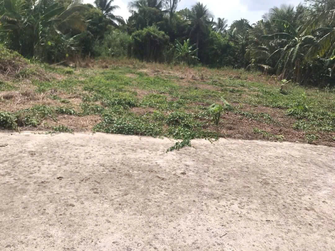 ĐẤT ĐẸP – GIÁ TỐT – CHÍNH CHỦ CẦN BÁN ĐẤT Thị Trấn Cái Tắc, Châu Thành A, Hậu Giang 15987093