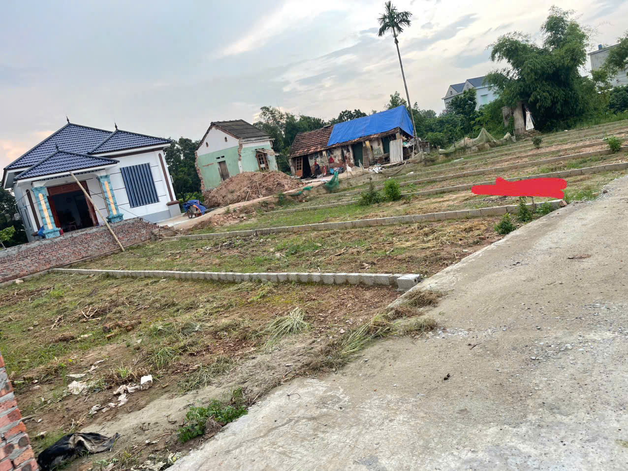 Bán đất phân lô đẹp 63m2 nở hậu đường hơn 5m giá chỉ 800tr tại xã Tam Đa, Phù Cừ, Hưng Yên 15987132